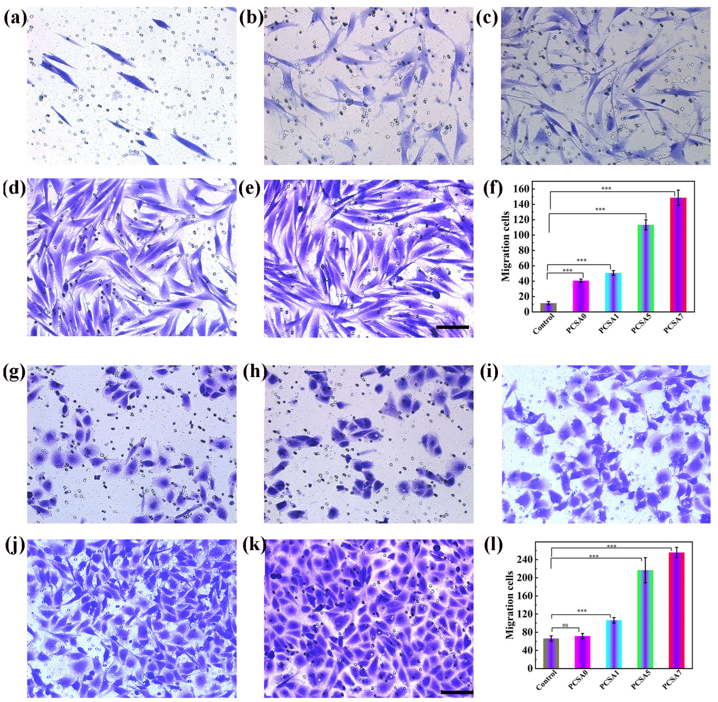 Polymers 17 03105 g005