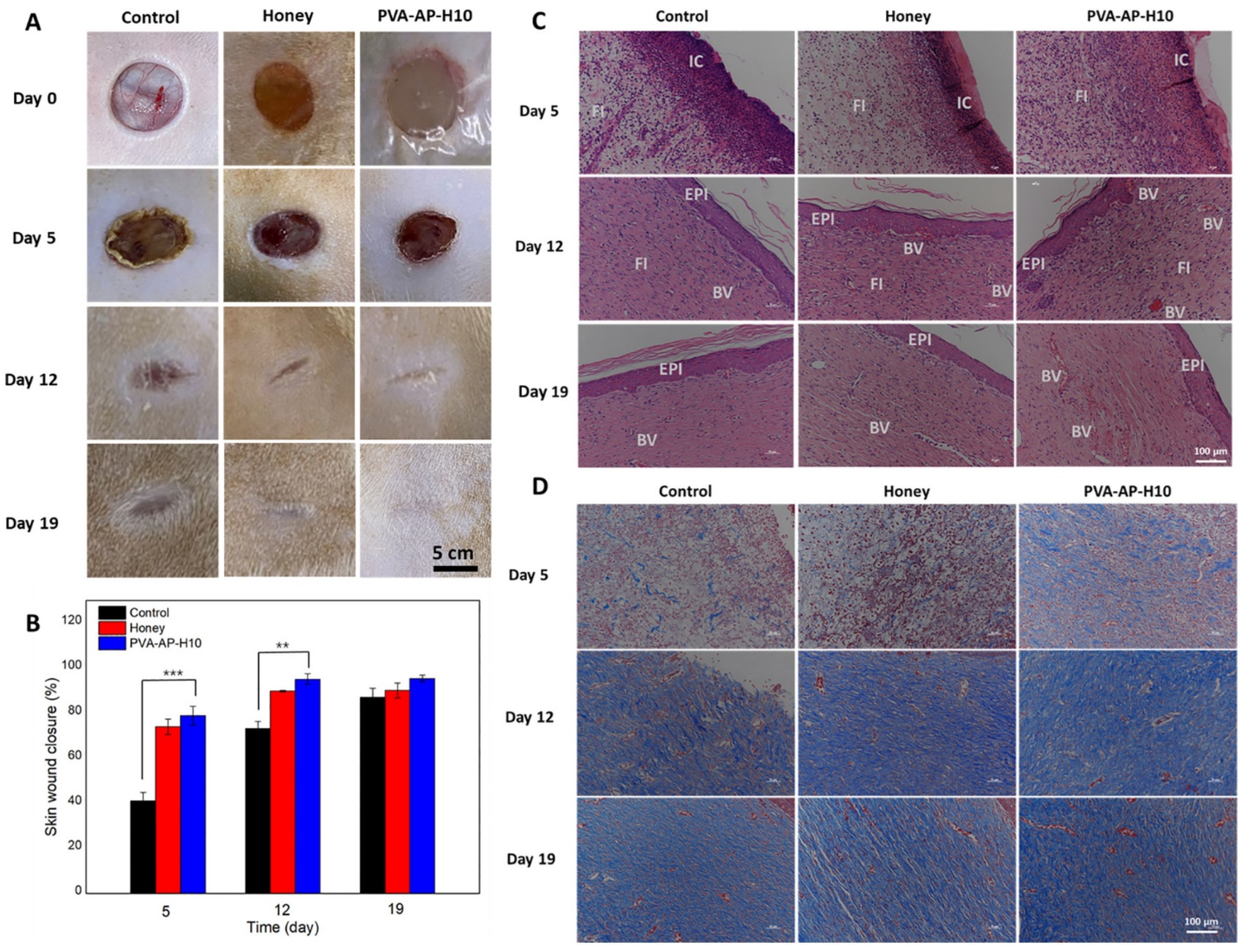 Polymers 17 03105 g006