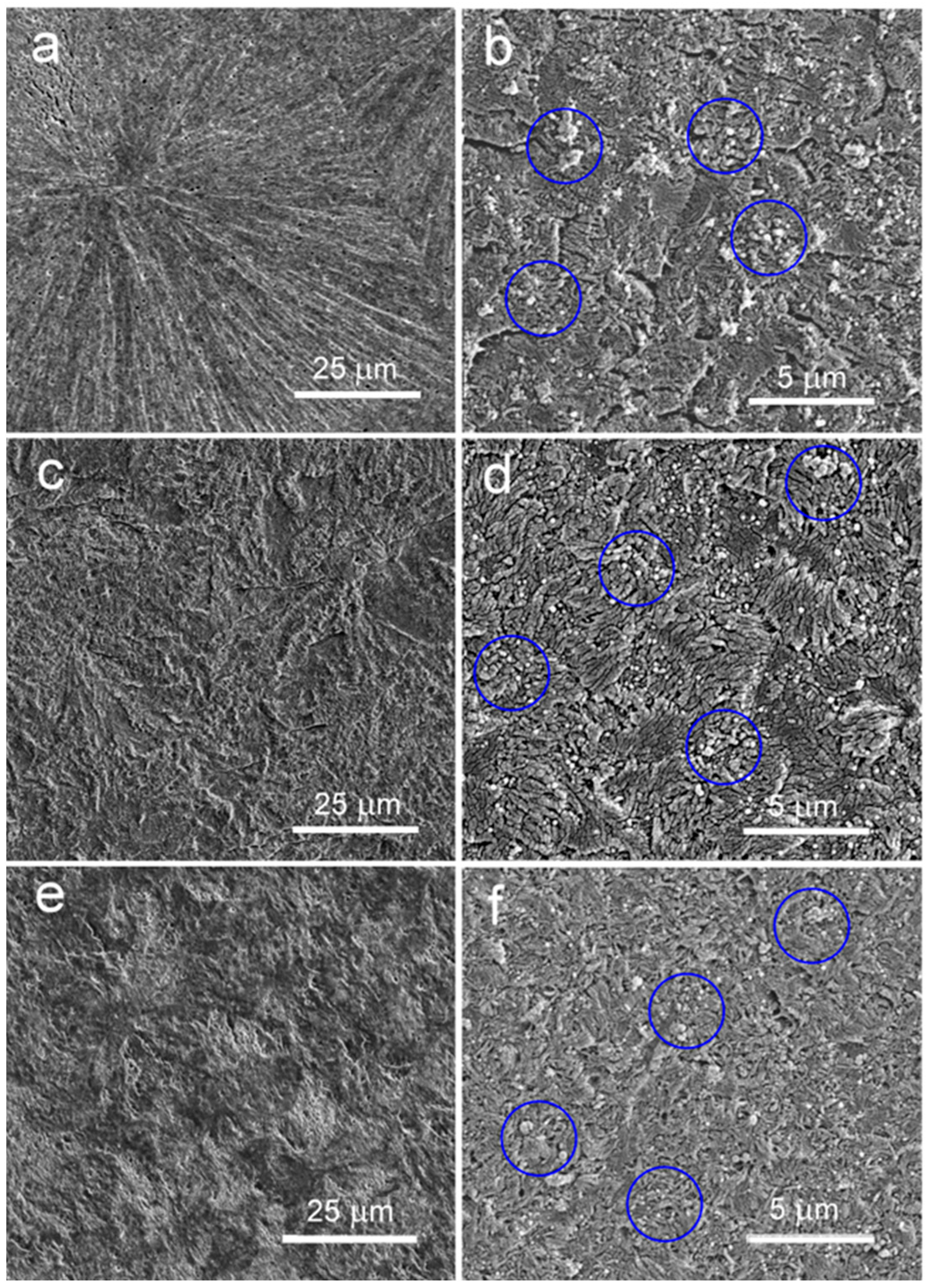 Polymers 17 03131 g005