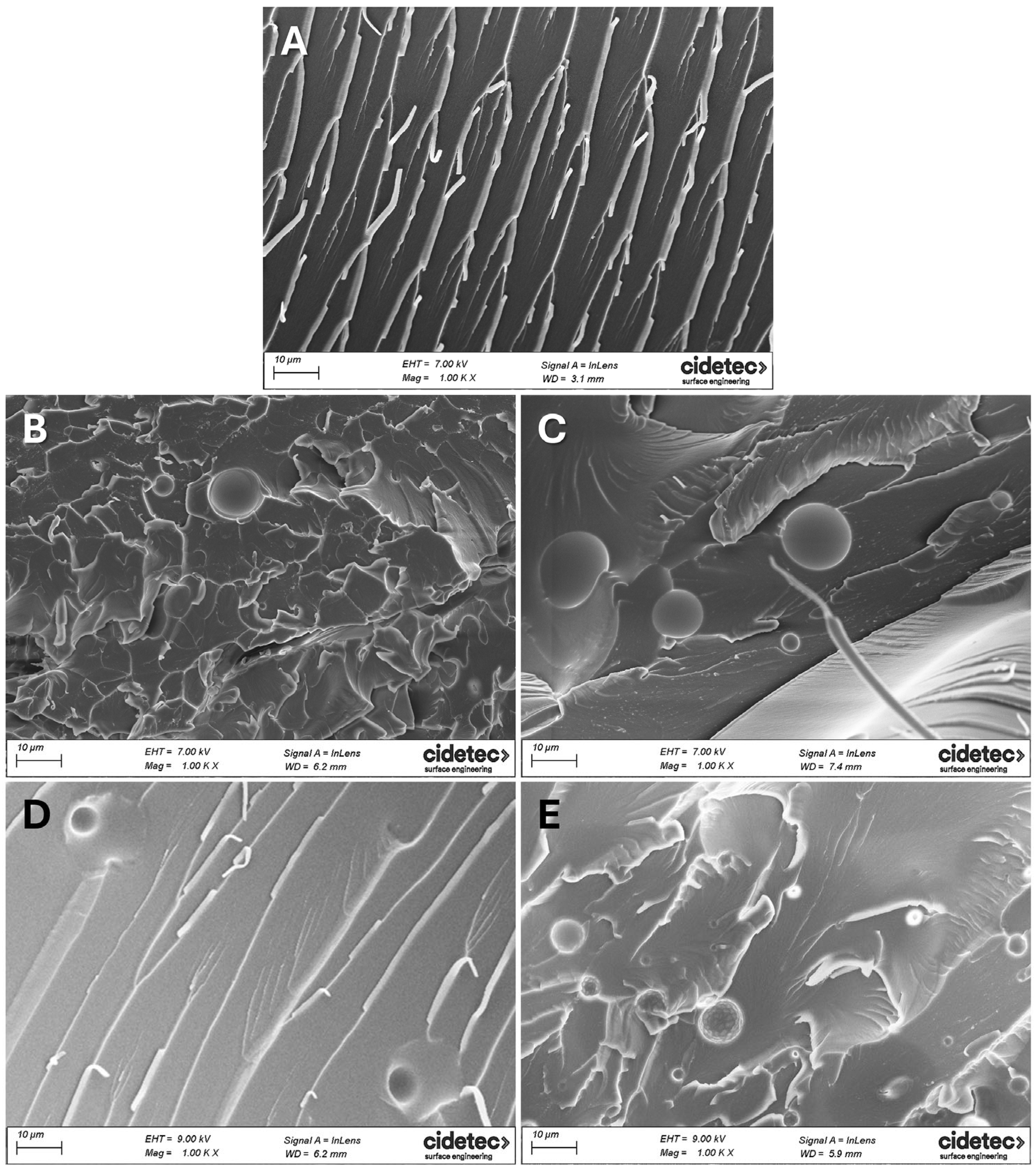 Polymers 17 03147 g004 Polymers 17 03147 g004