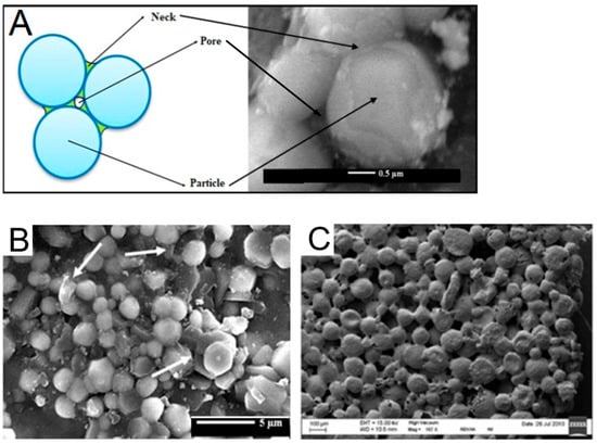 Polymers 17 03227 g005