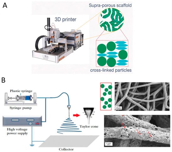 Polymers 17 03227 g008
