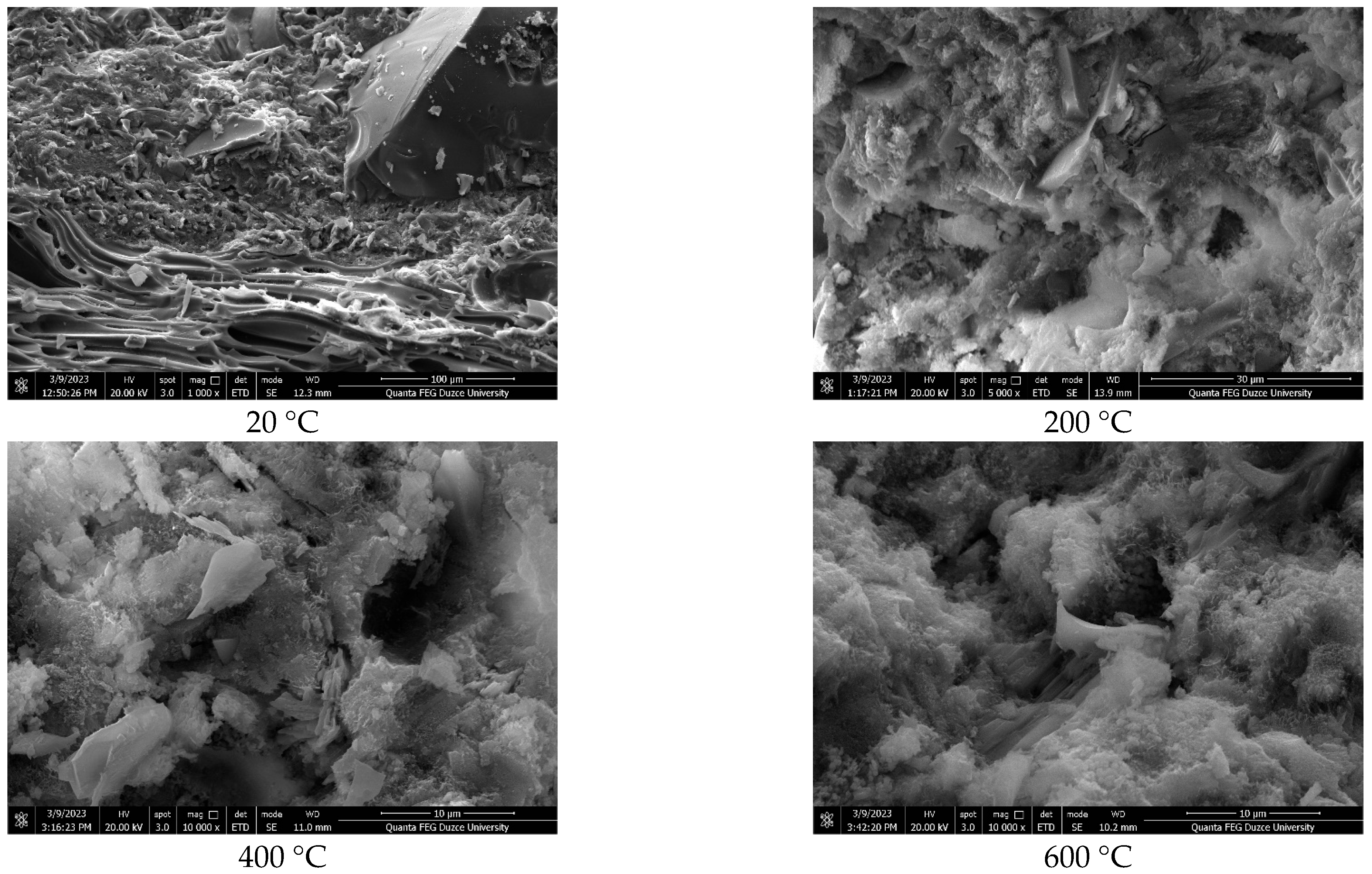 Polymers 17 03248 g007 Polymers 17 03248 g007