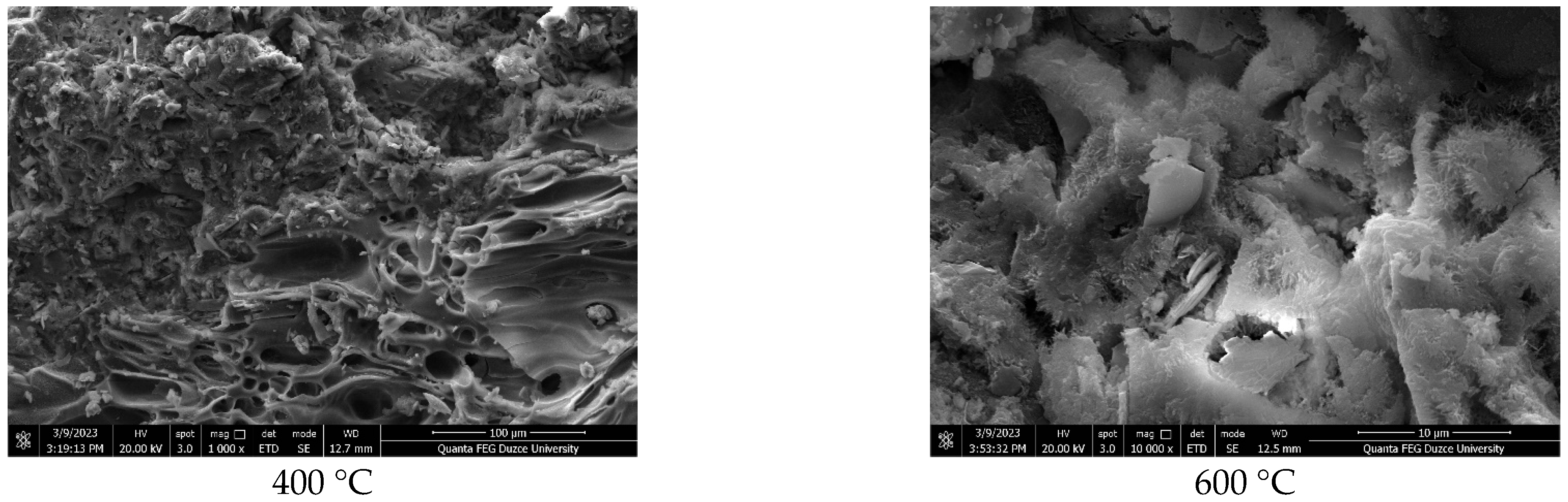 Polymers 17 03248 g008b Polymers 17 03248 g008b