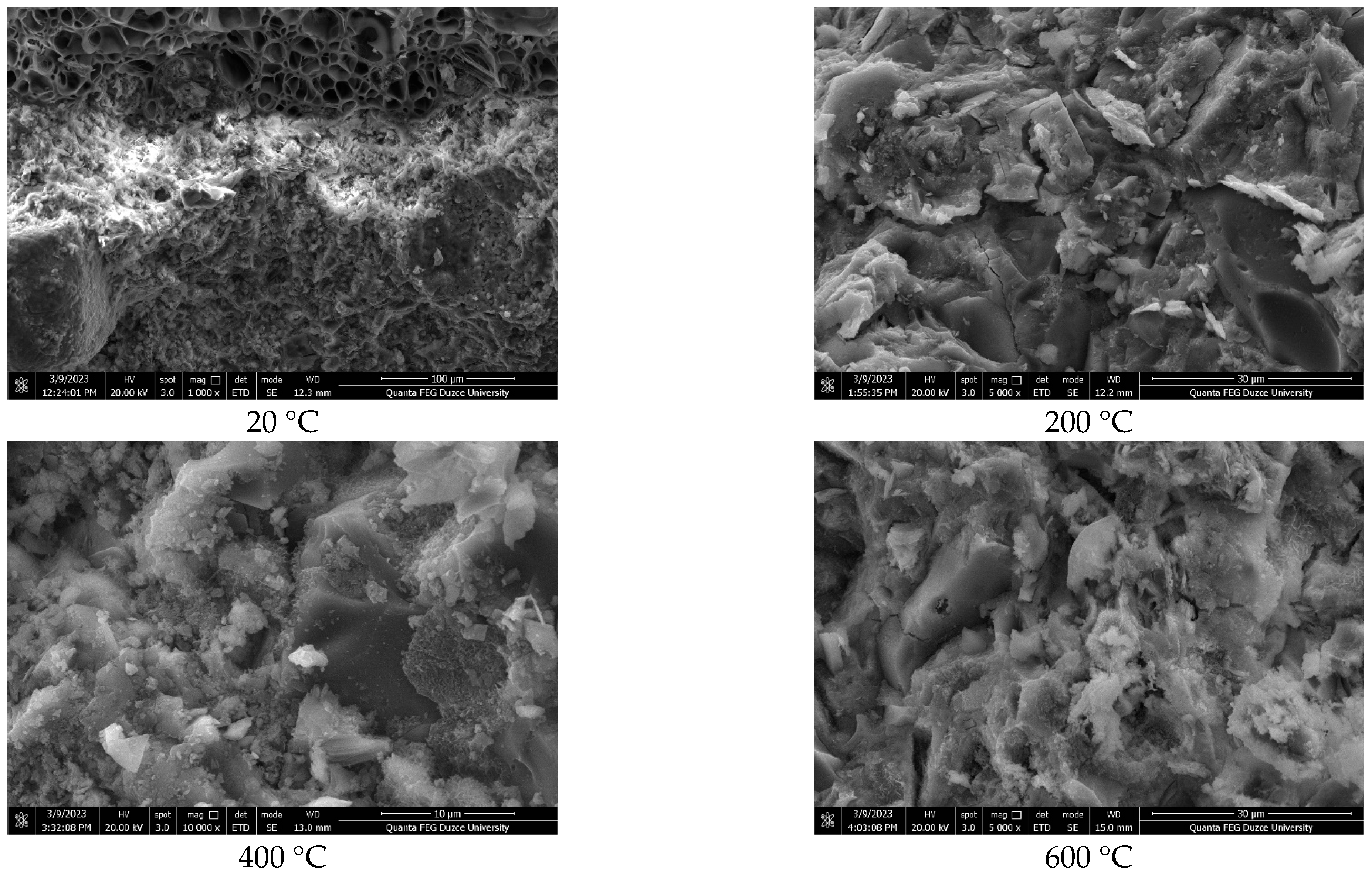 Polymers 17 03248 g009 Polymers 17 03248 g009