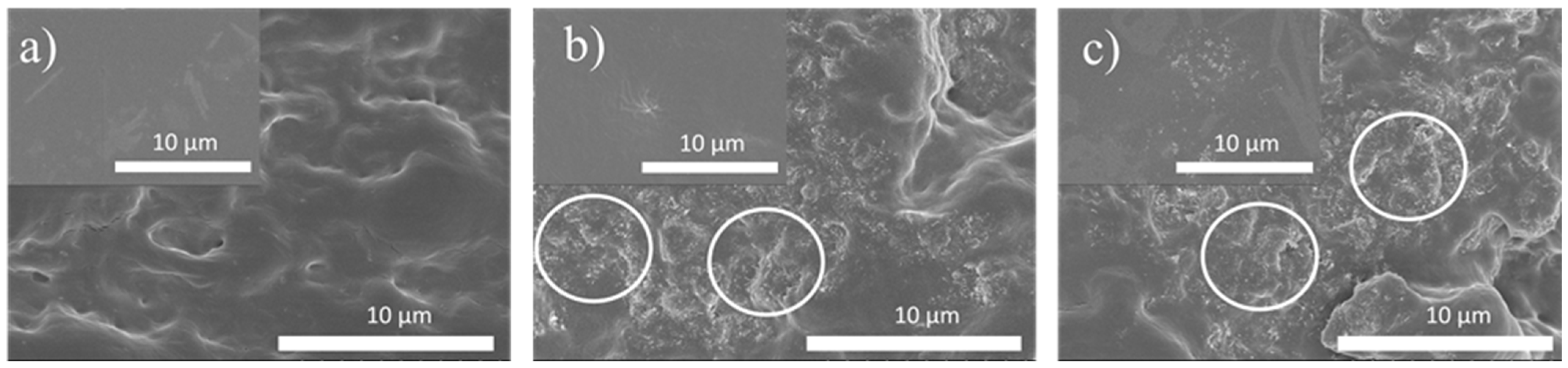 Polymers 17 03259 g002