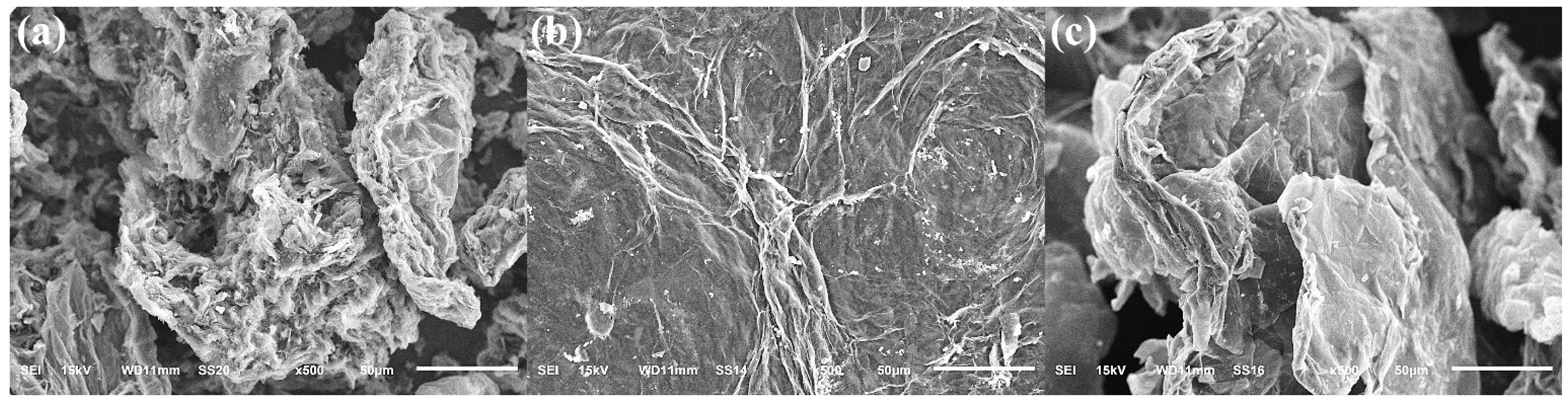 Polymers 17 03263 g002