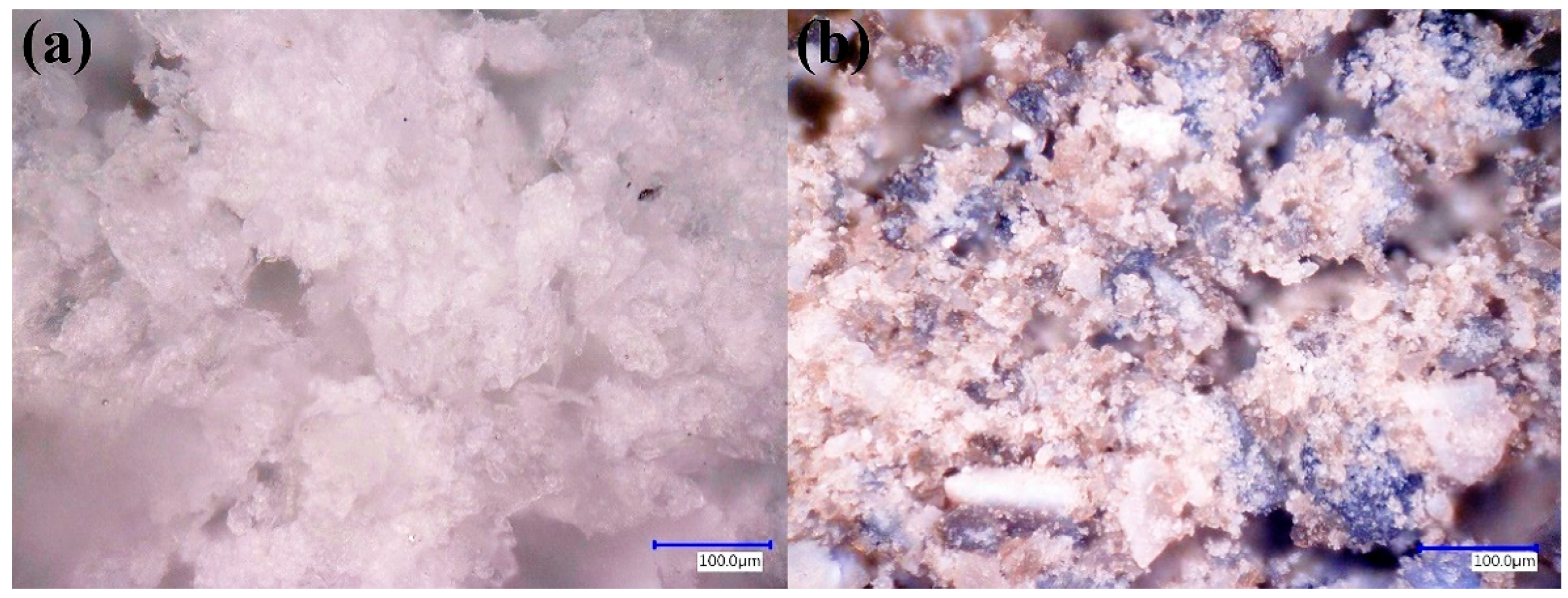 Polymers 17 03263 g008