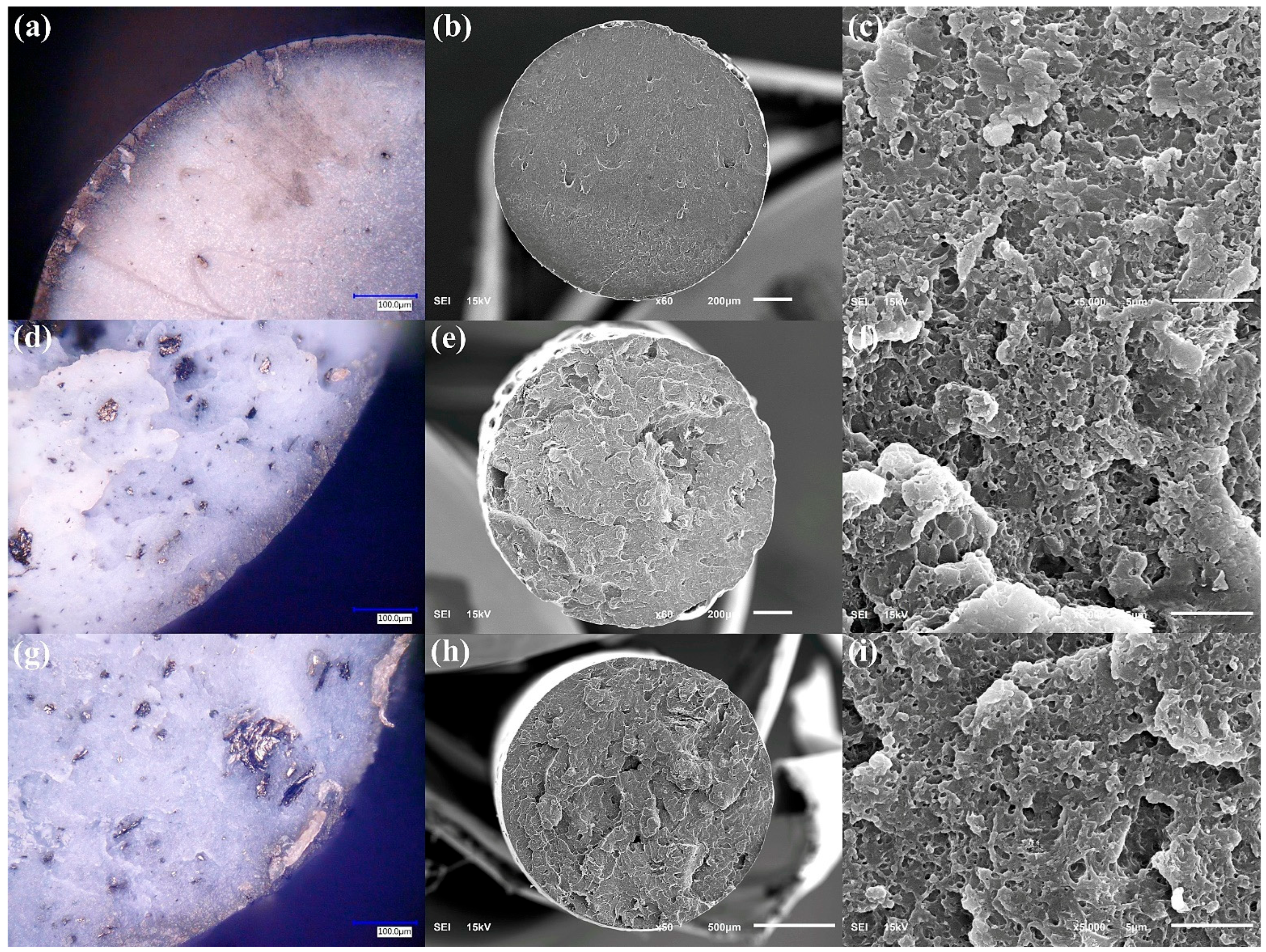 Polymers 17 03263 g011