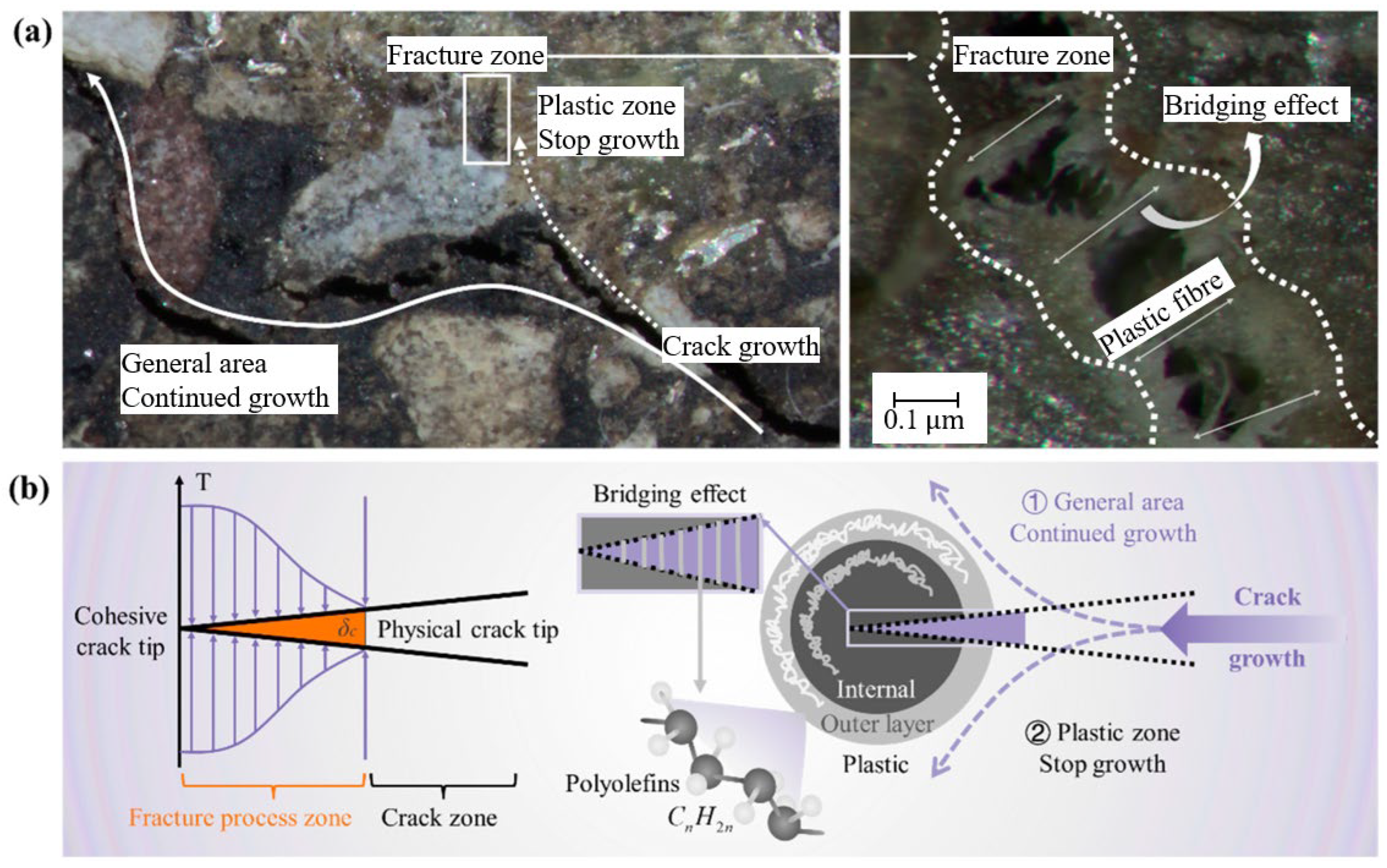 Polymers 17 03272 g013 Polymers 17 03272 g013