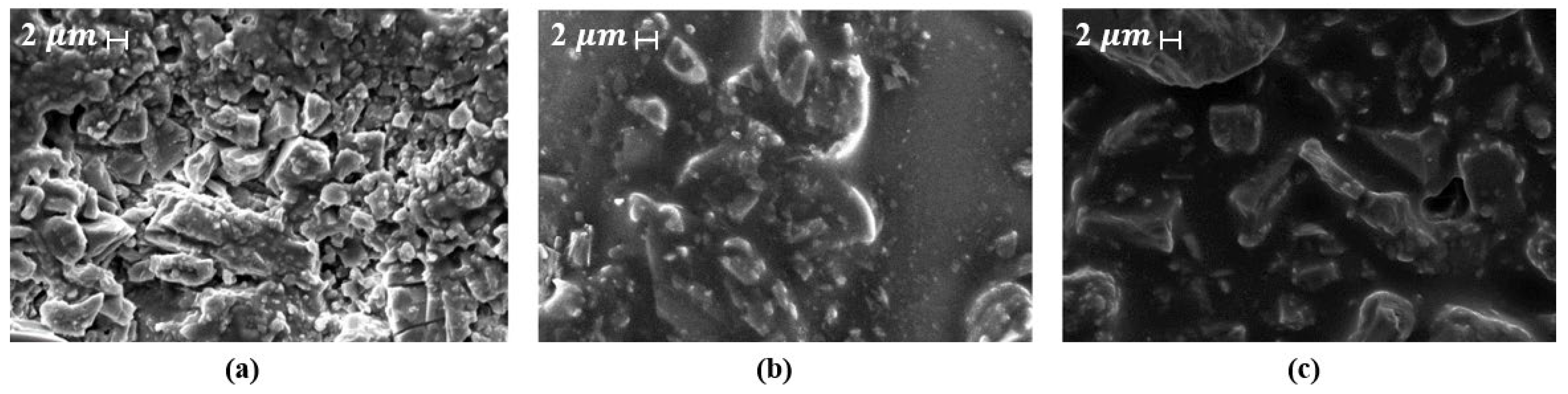 Polymers 17 03272 g014 Polymers 17 03272 g014