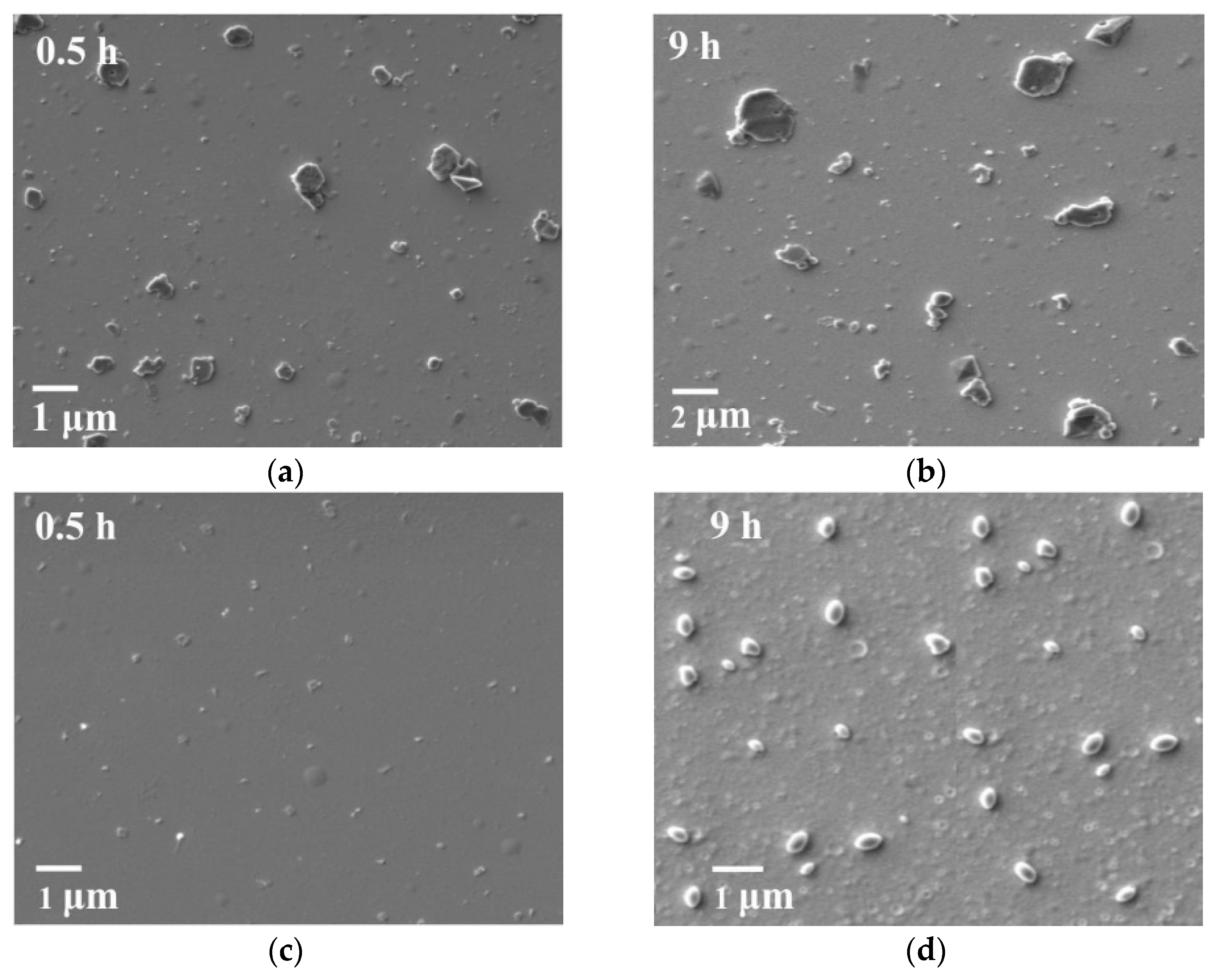 Polymers 17 03288 g006 Polymers 17 03288 g006