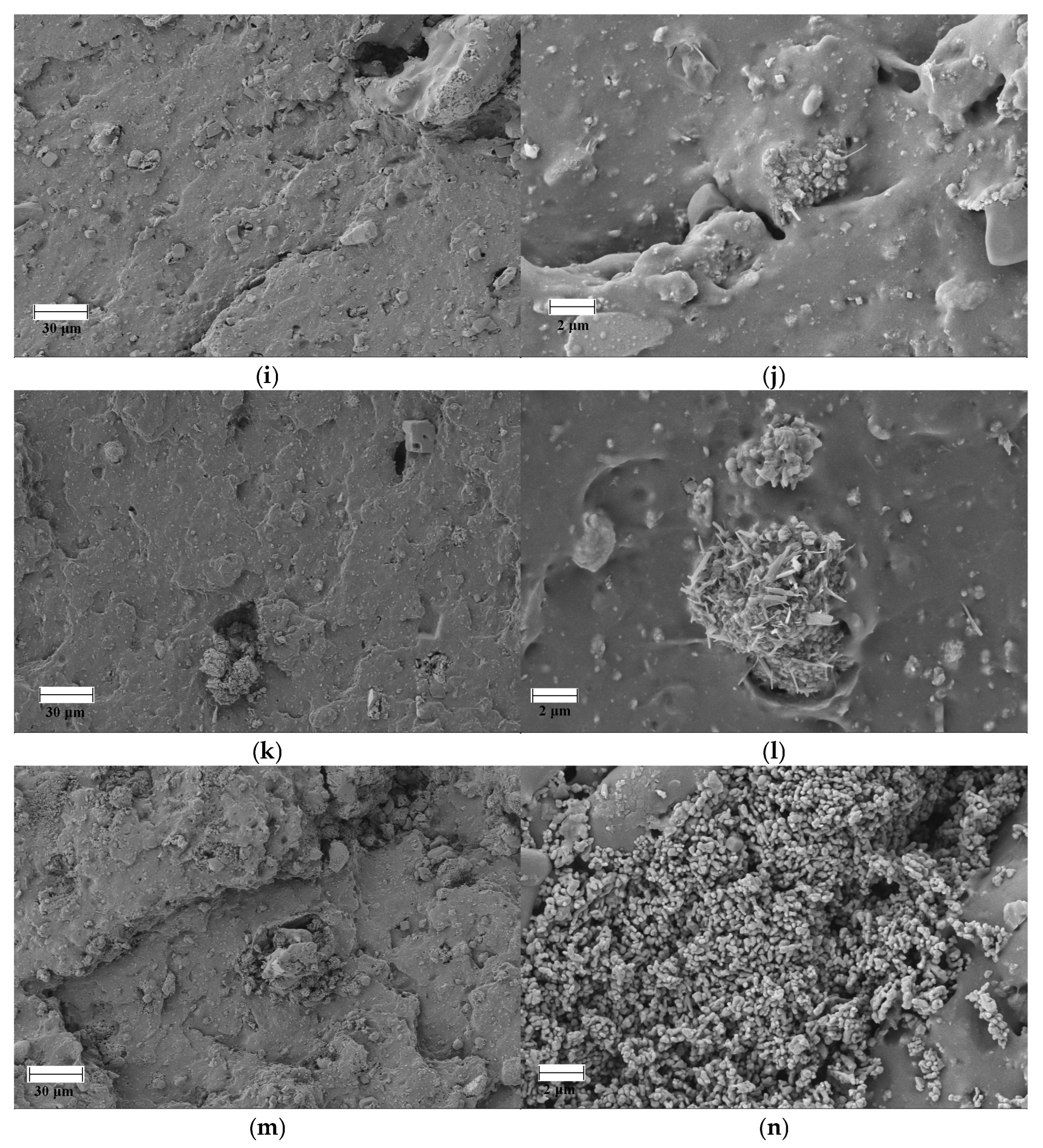 Polymers 18 00006 g007b