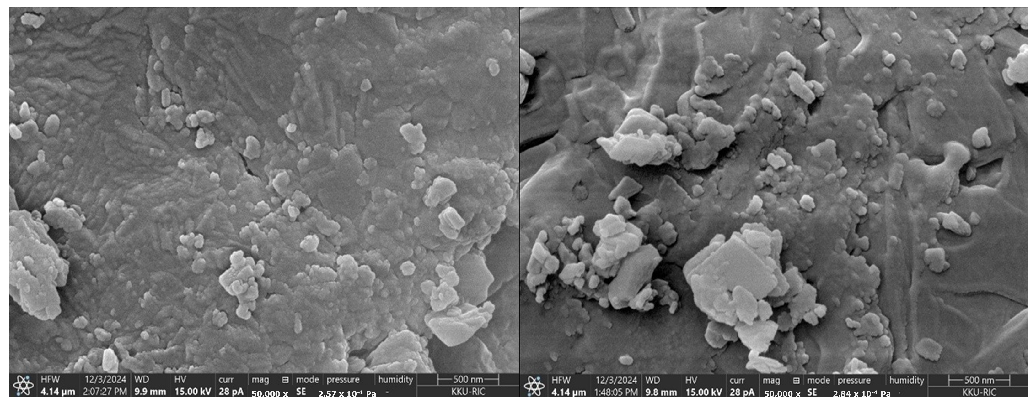 Polymers 18 00008 g007 Polymers 18 00008 g007