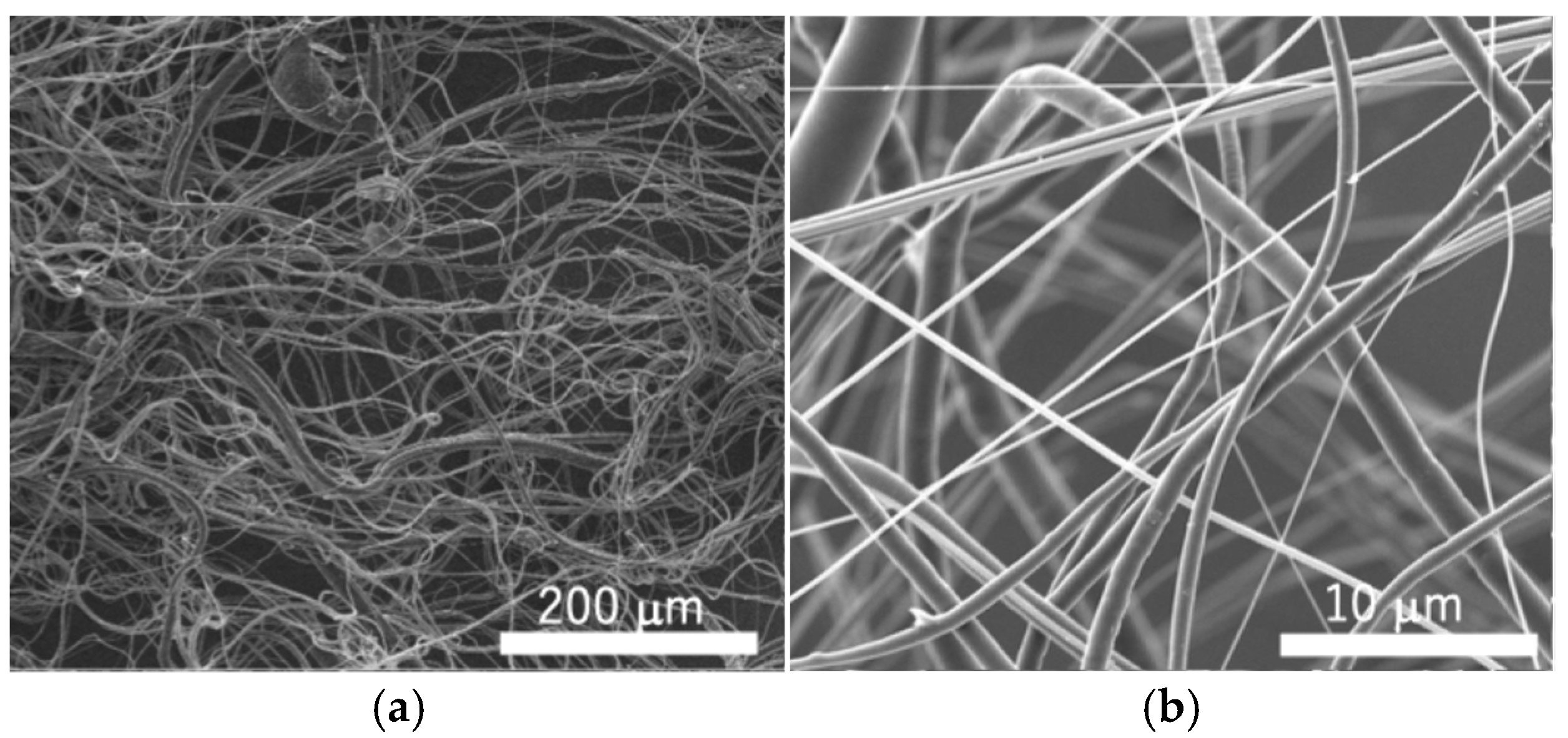 Polymers 18 00016 g002 Polymers 18 00016 g002