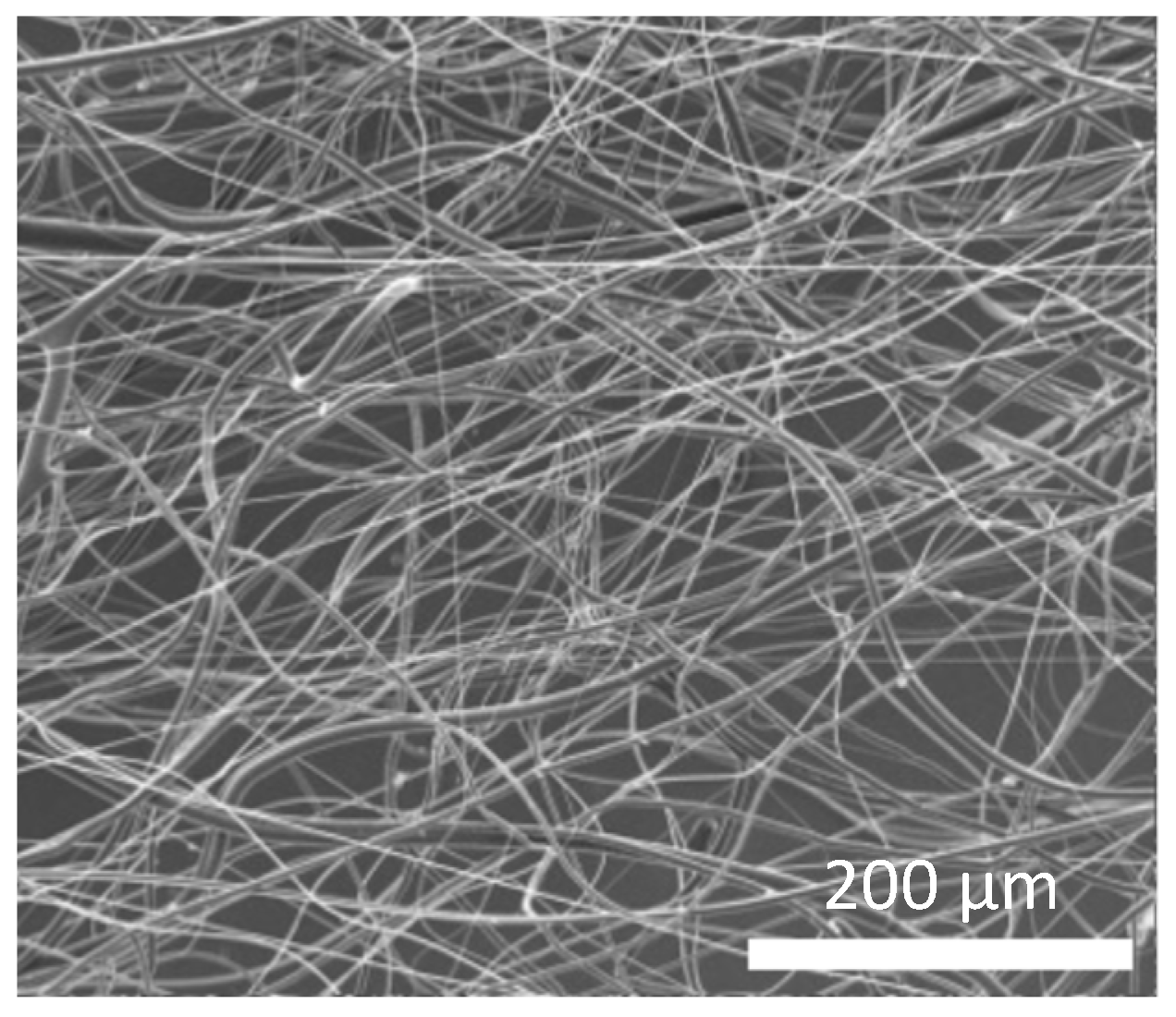 Polymers 18 00016 g005 Polymers 18 00016 g005