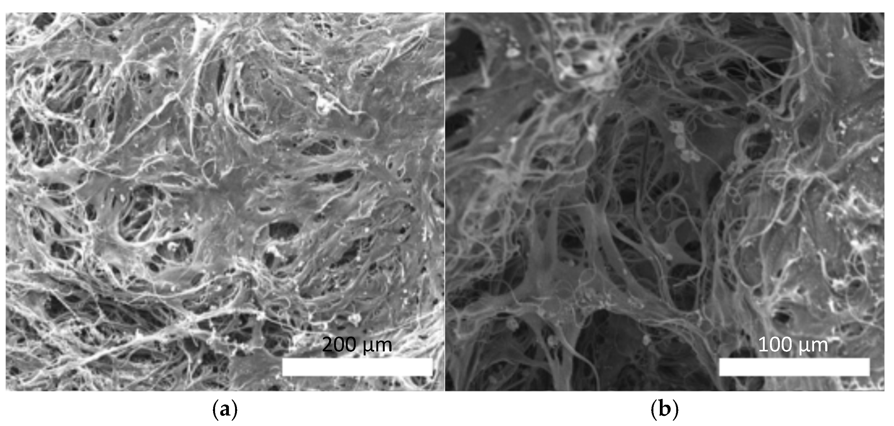 Polymers 18 00016 g009 Polymers 18 00016 g009