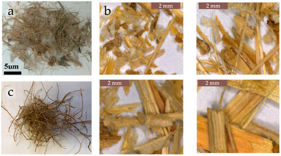 Polymers 18 00022 g005