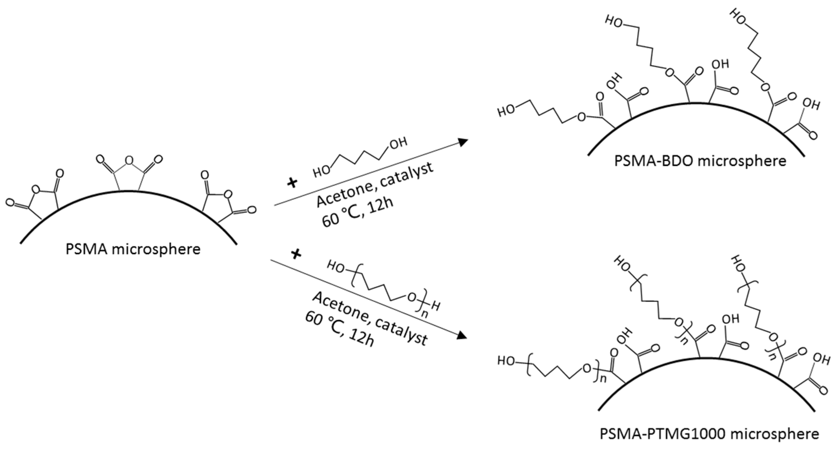 Polymers 18 00059 g001