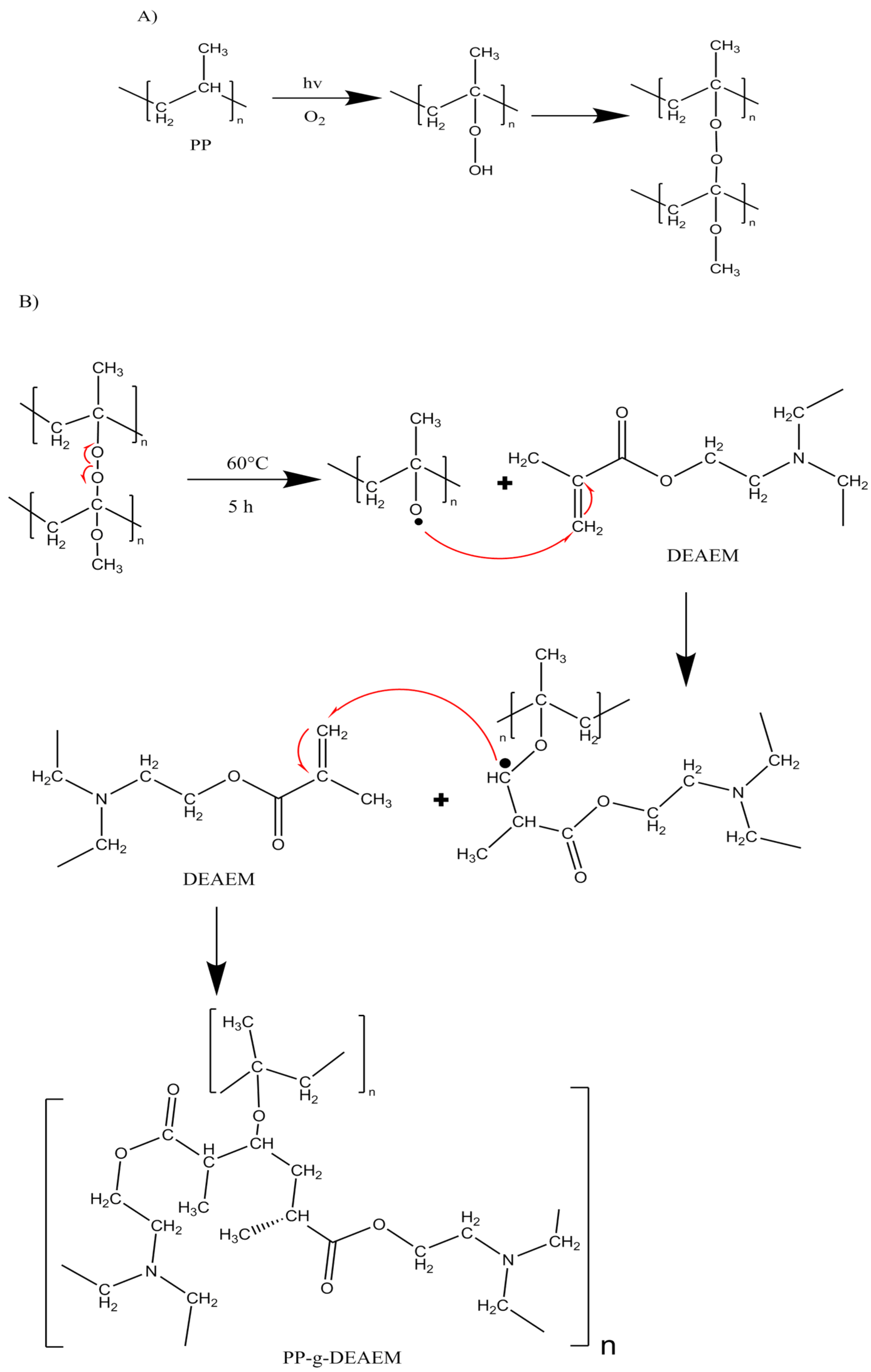 Polymers 18 00068 g001
