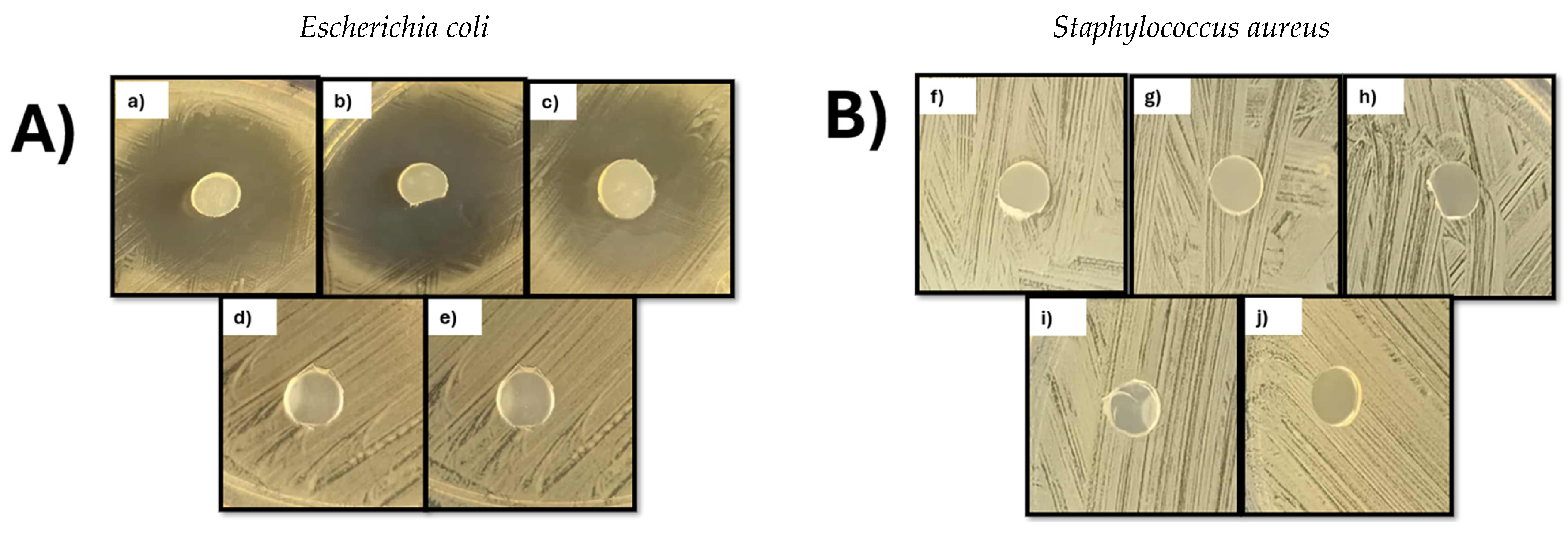 Polymers 18 00068 g013