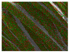 Polymers 18 00116 i002