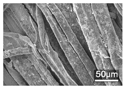 Polymers 18 00116 i003