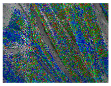 Polymers 18 00116 i004