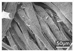 Polymers 18 00116 i005