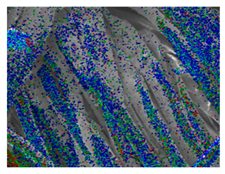 Polymers 18 00116 i006