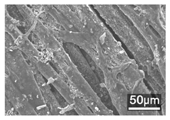 Polymers 18 00116 i007