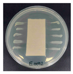 Polymers 18 00116 i011