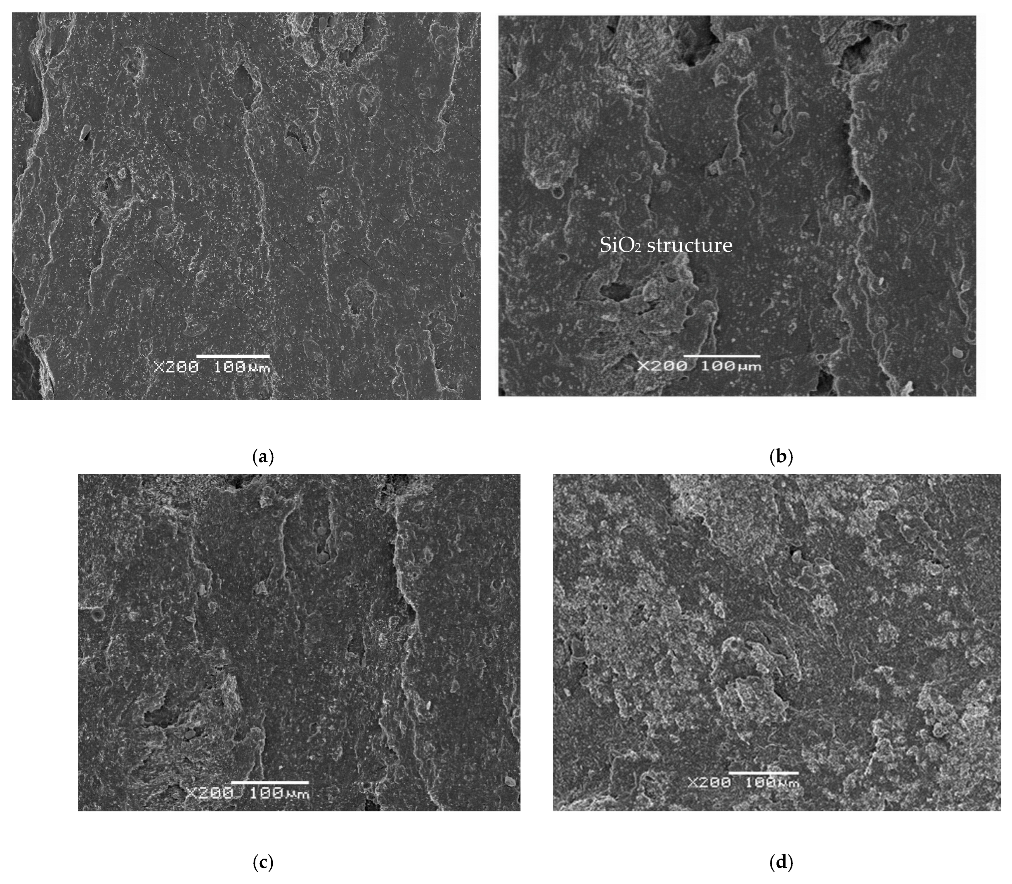 Polymers 18 00137 g004 Polymers 18 00137 g004