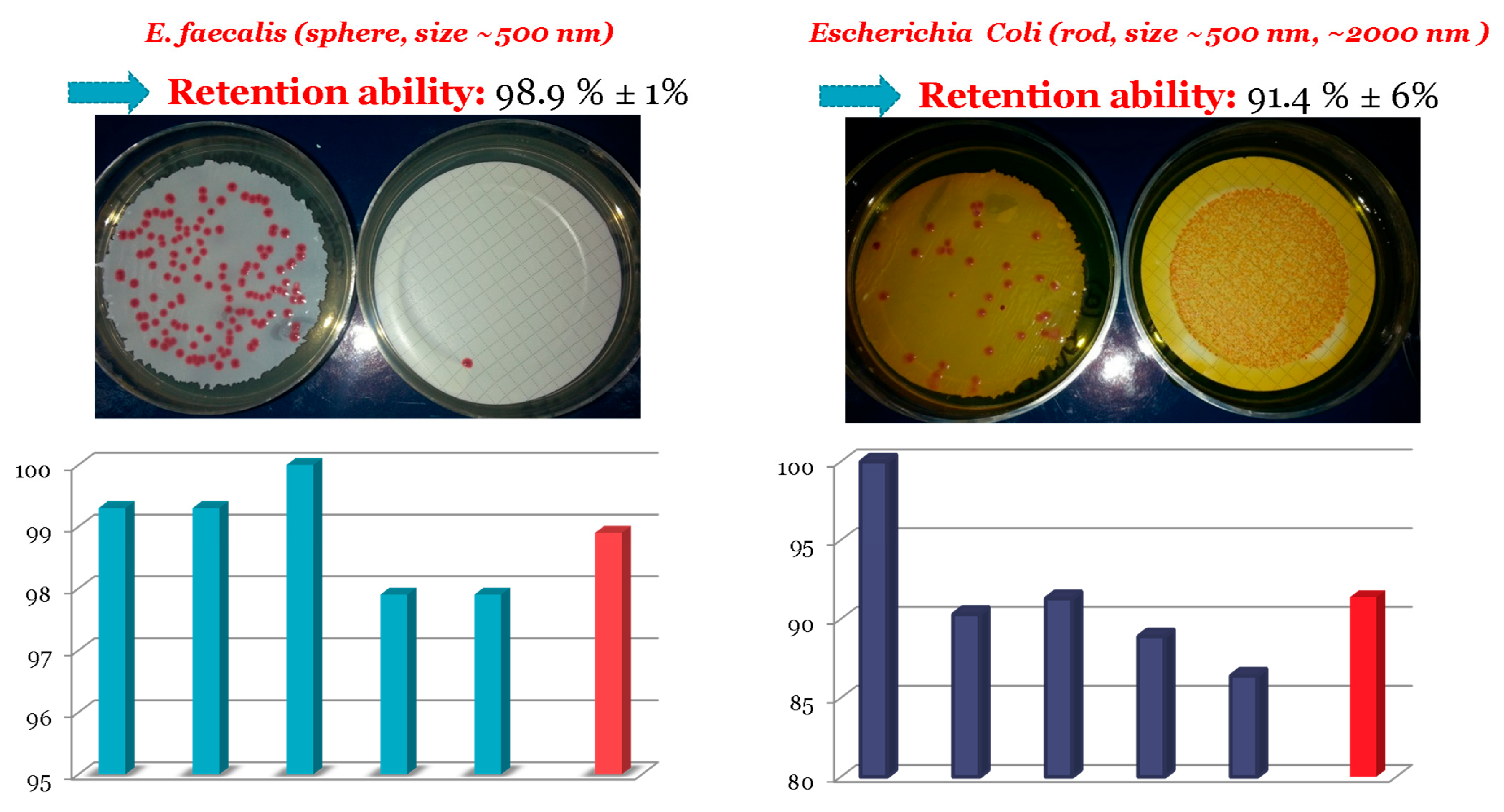 Polymers 18 00149 g006