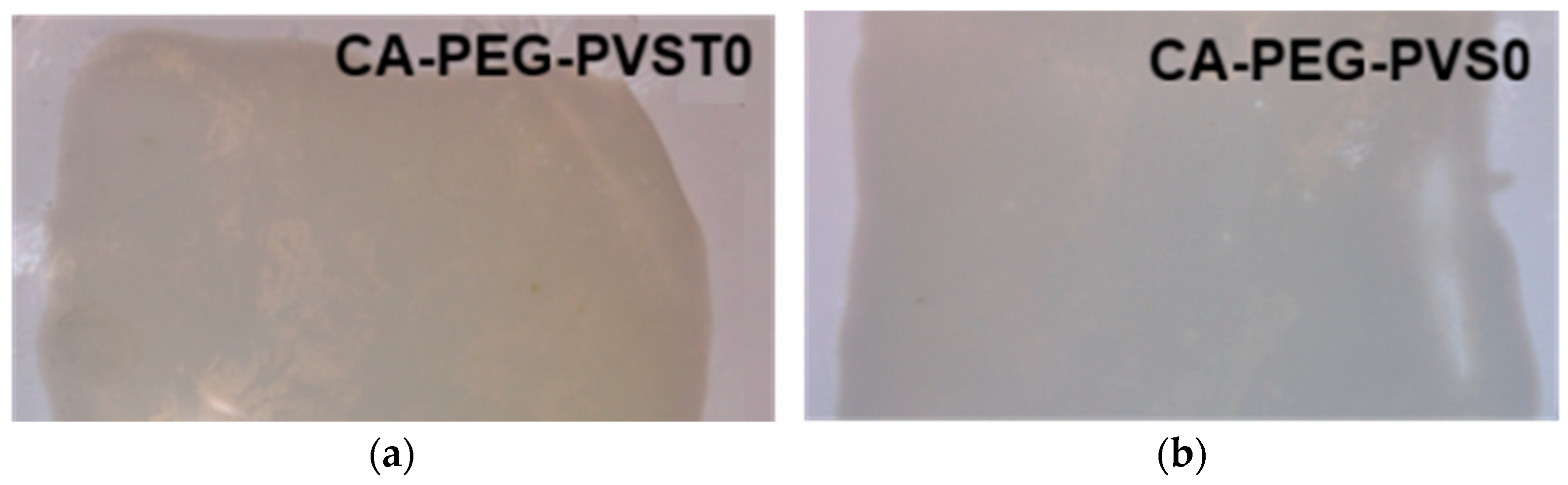 Polymers 18 00150 g001 Polymers 18 00150 g001