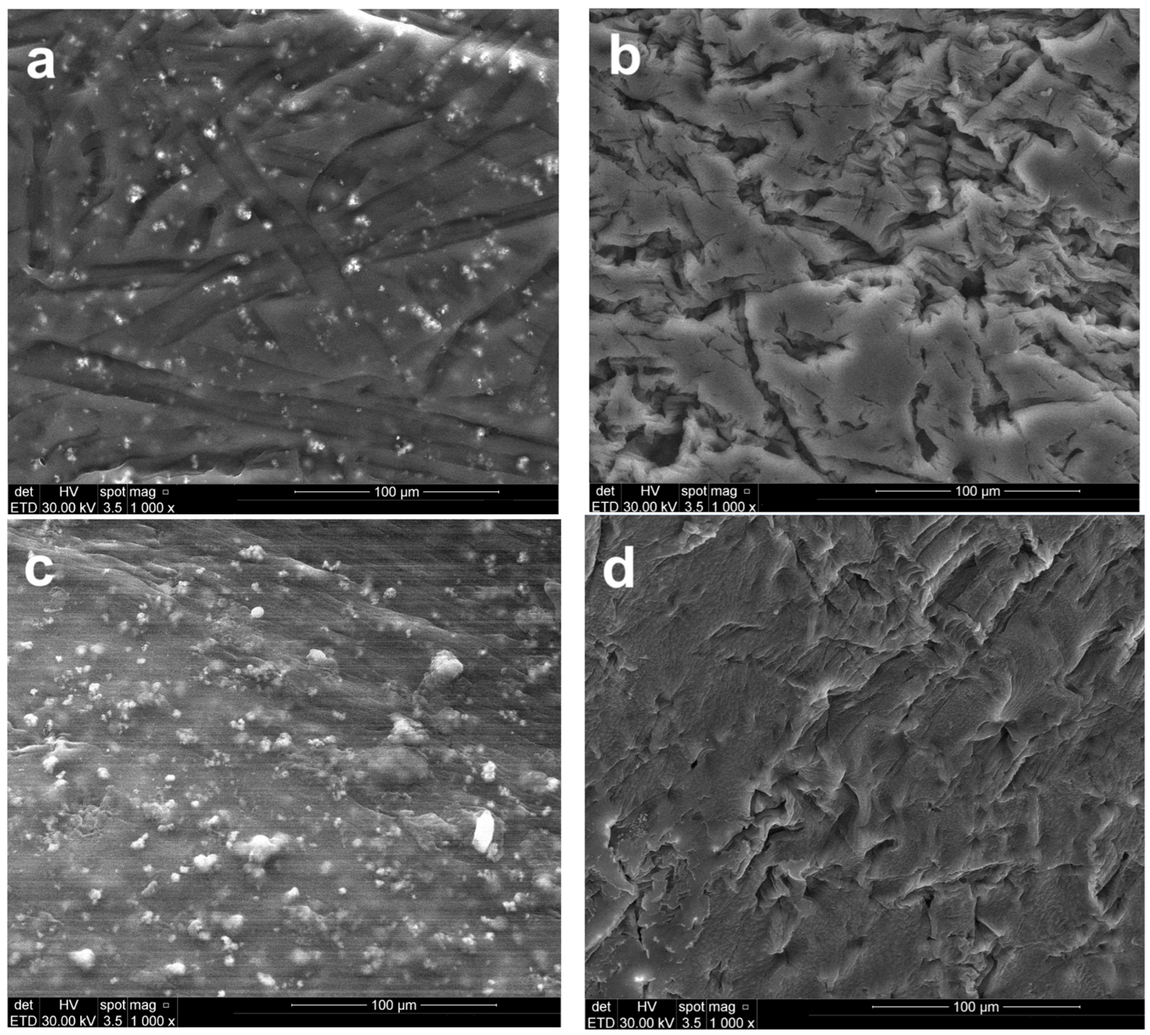 Polymers 18 00150 g005 Polymers 18 00150 g005