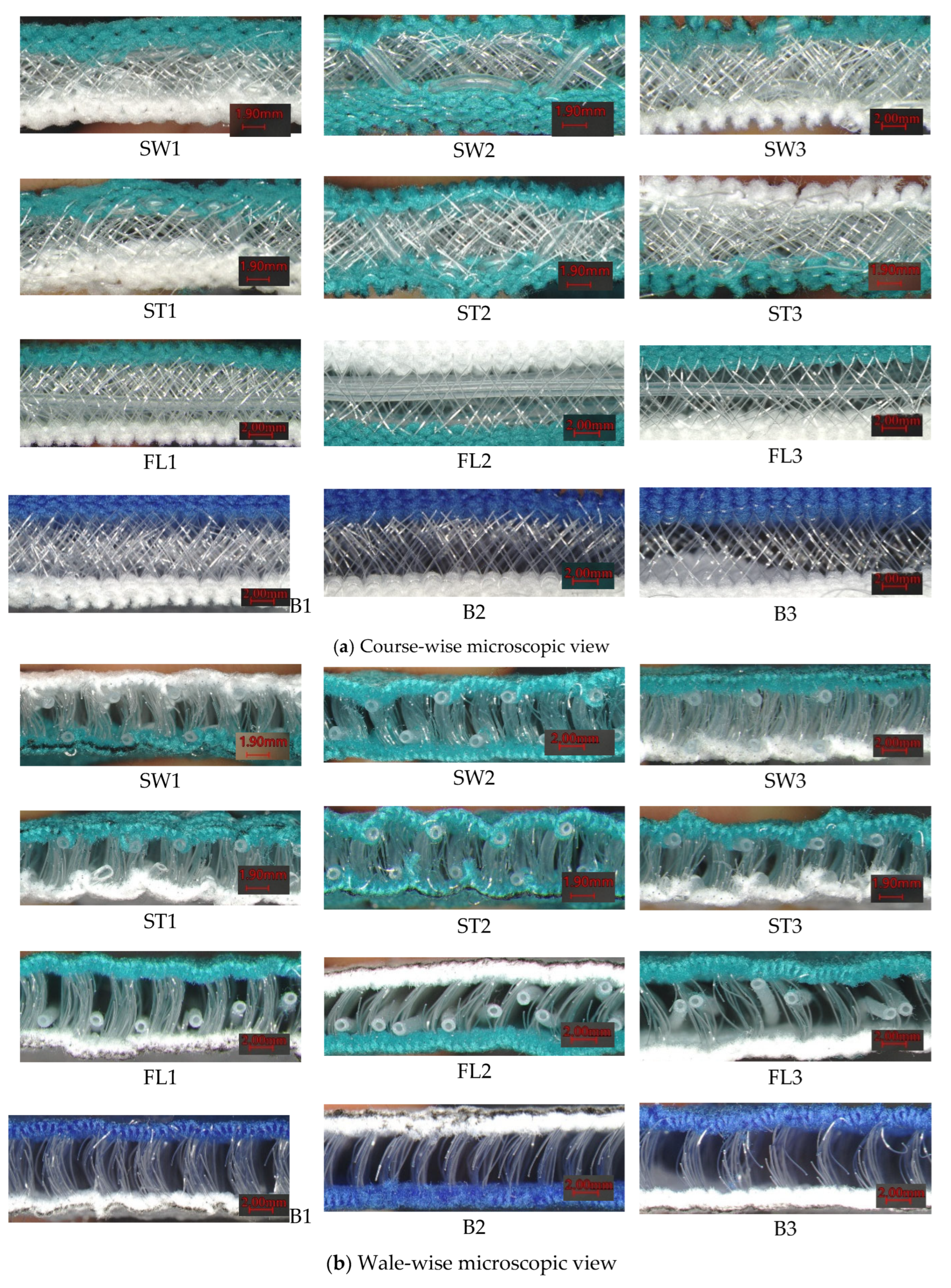 Polymers 18 00151 g003 Polymers 18 00151 g003