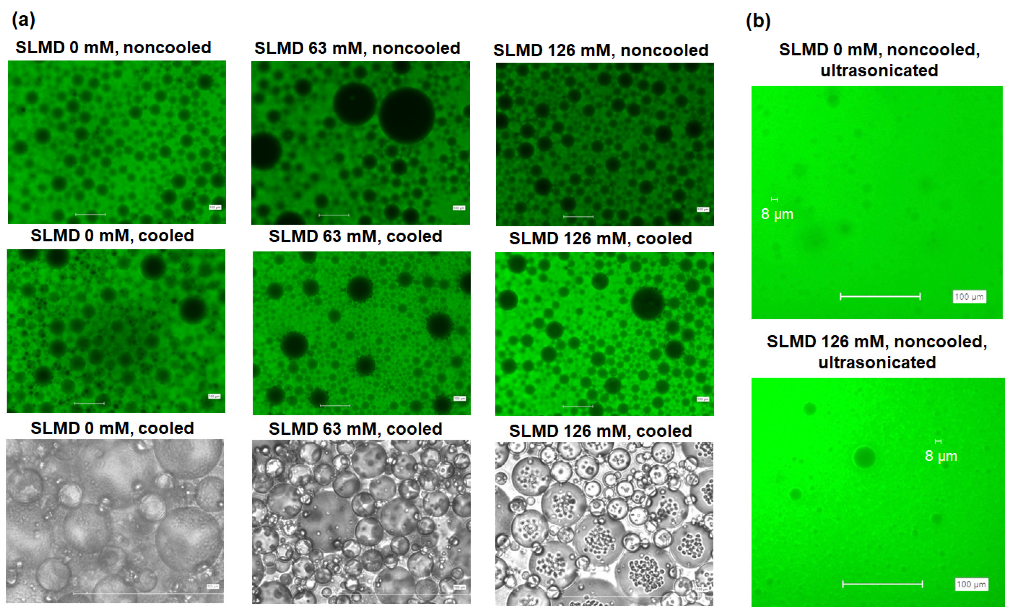 Polymers 18 00166 g007