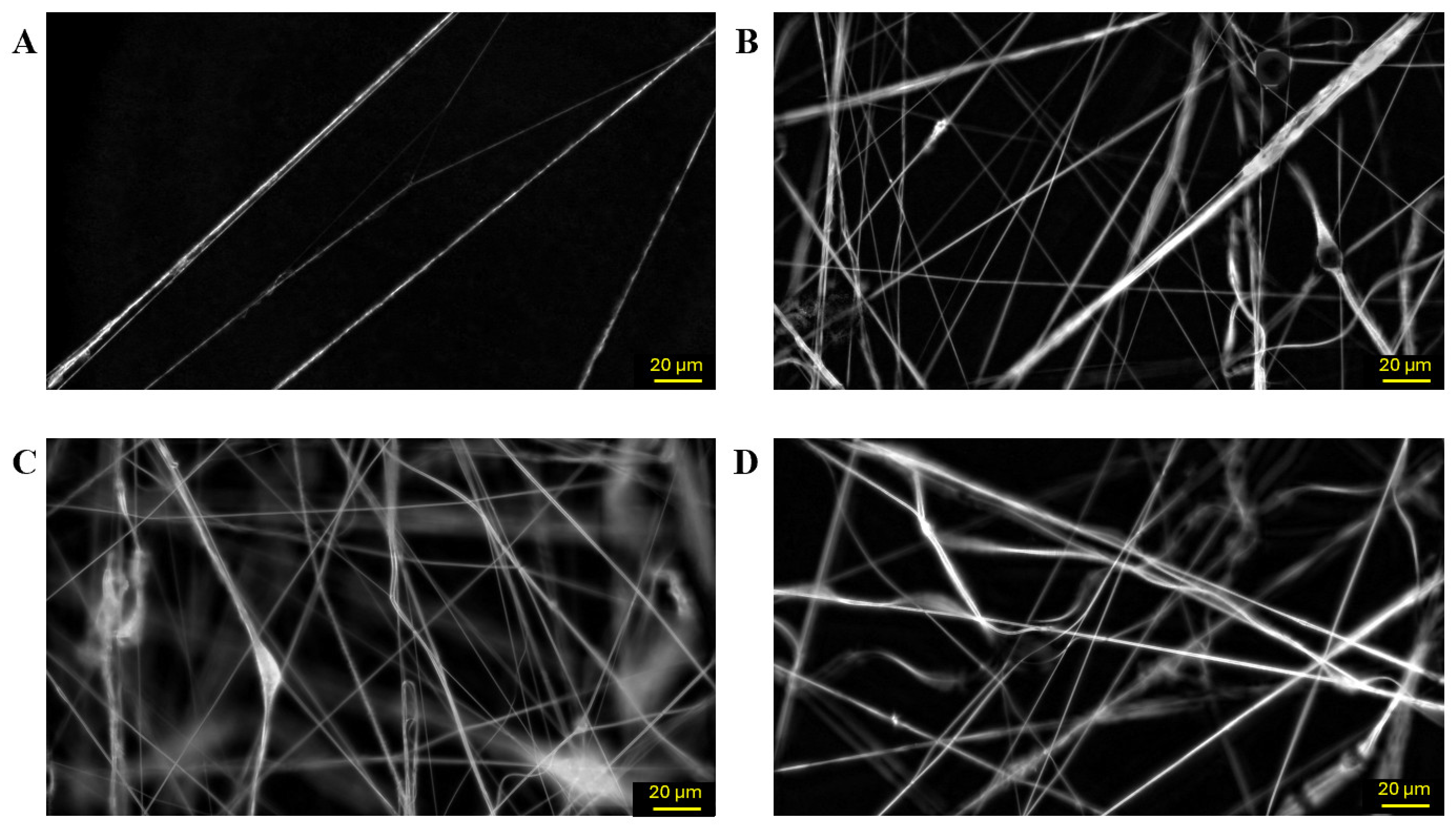 Polymers 18 00170 g002