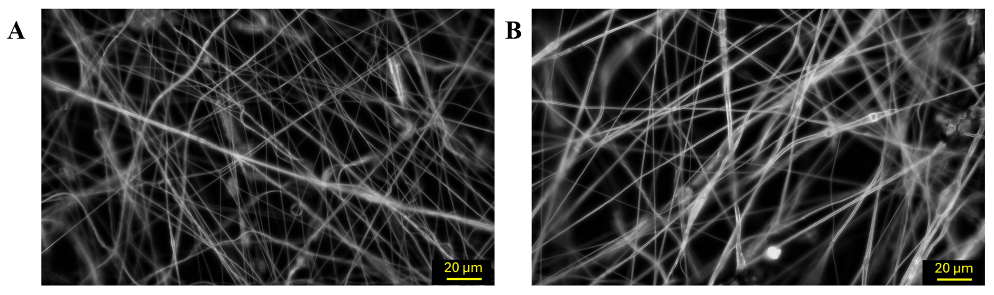 Polymers 18 00170 g003