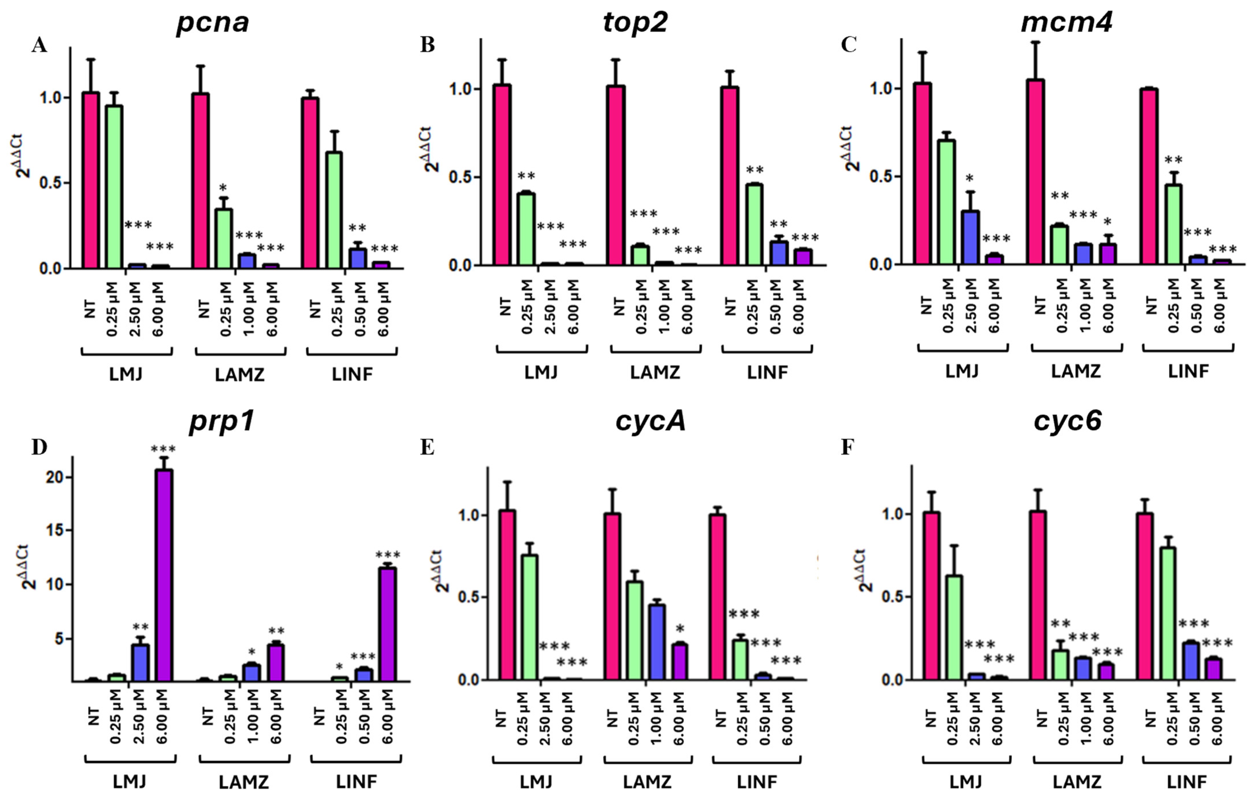 Polymers 18 00170 g009