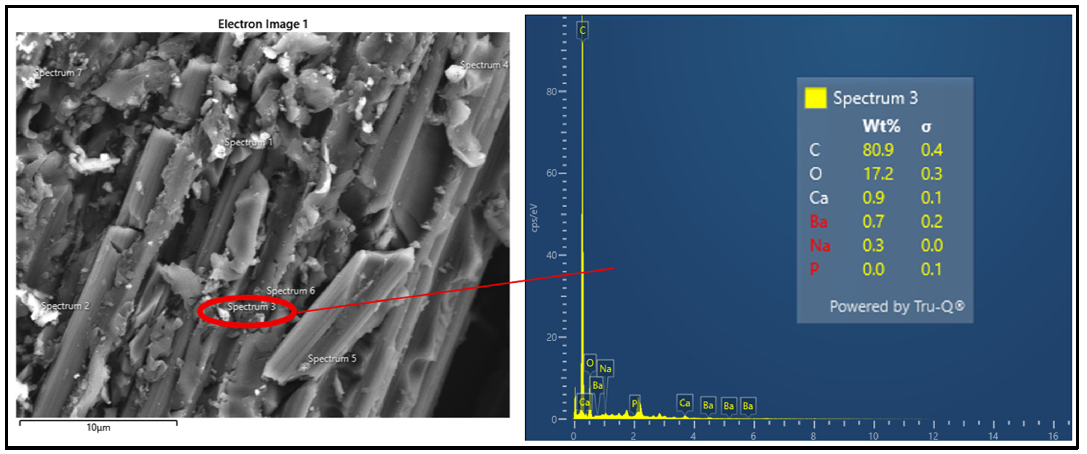 Polymers 18 00173 g008