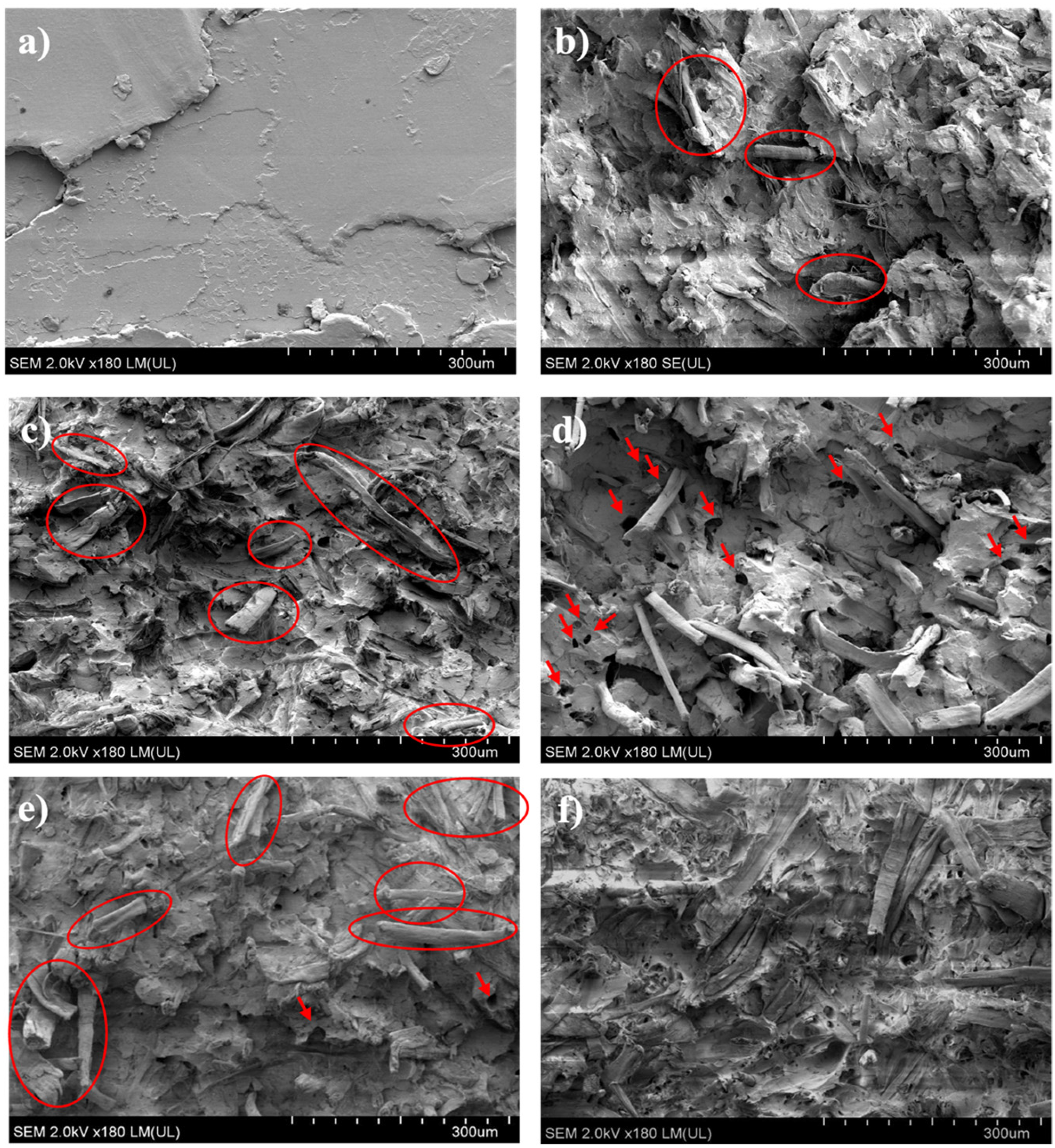 Polymers 18 00183 g009