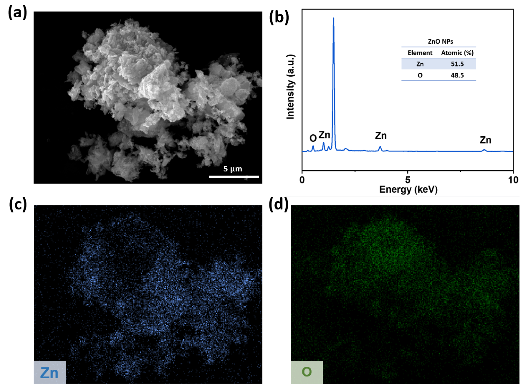 Polymers 18 00195 g007