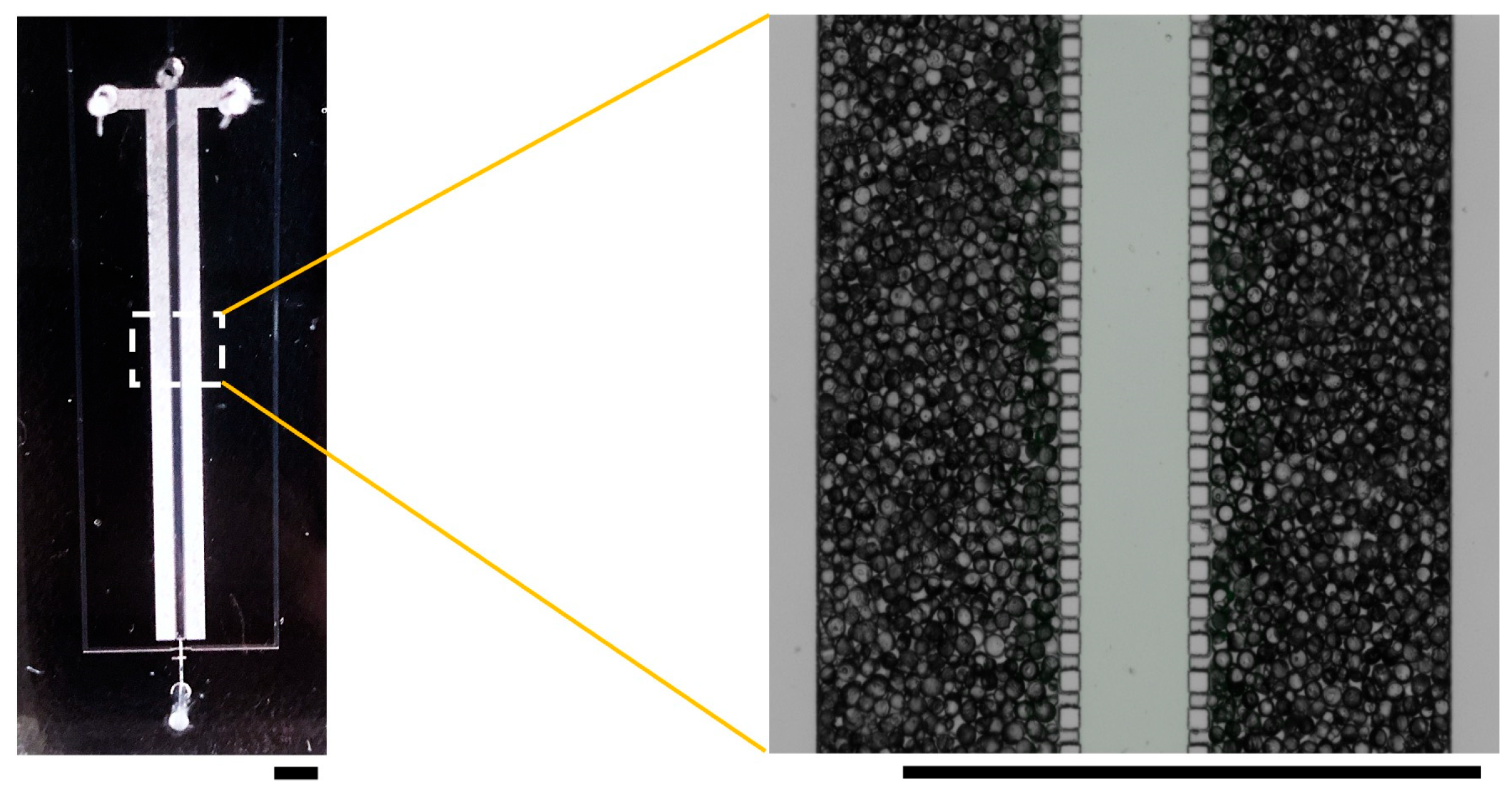 Polymers 18 00260 g004 Polymers 18 00260 g004
