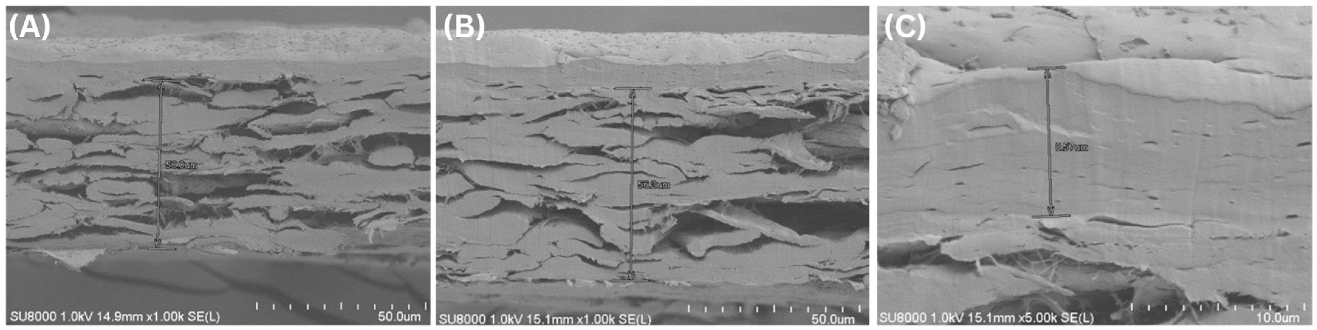 Polymers 18 00264 g001 Polymers 18 00264 g001