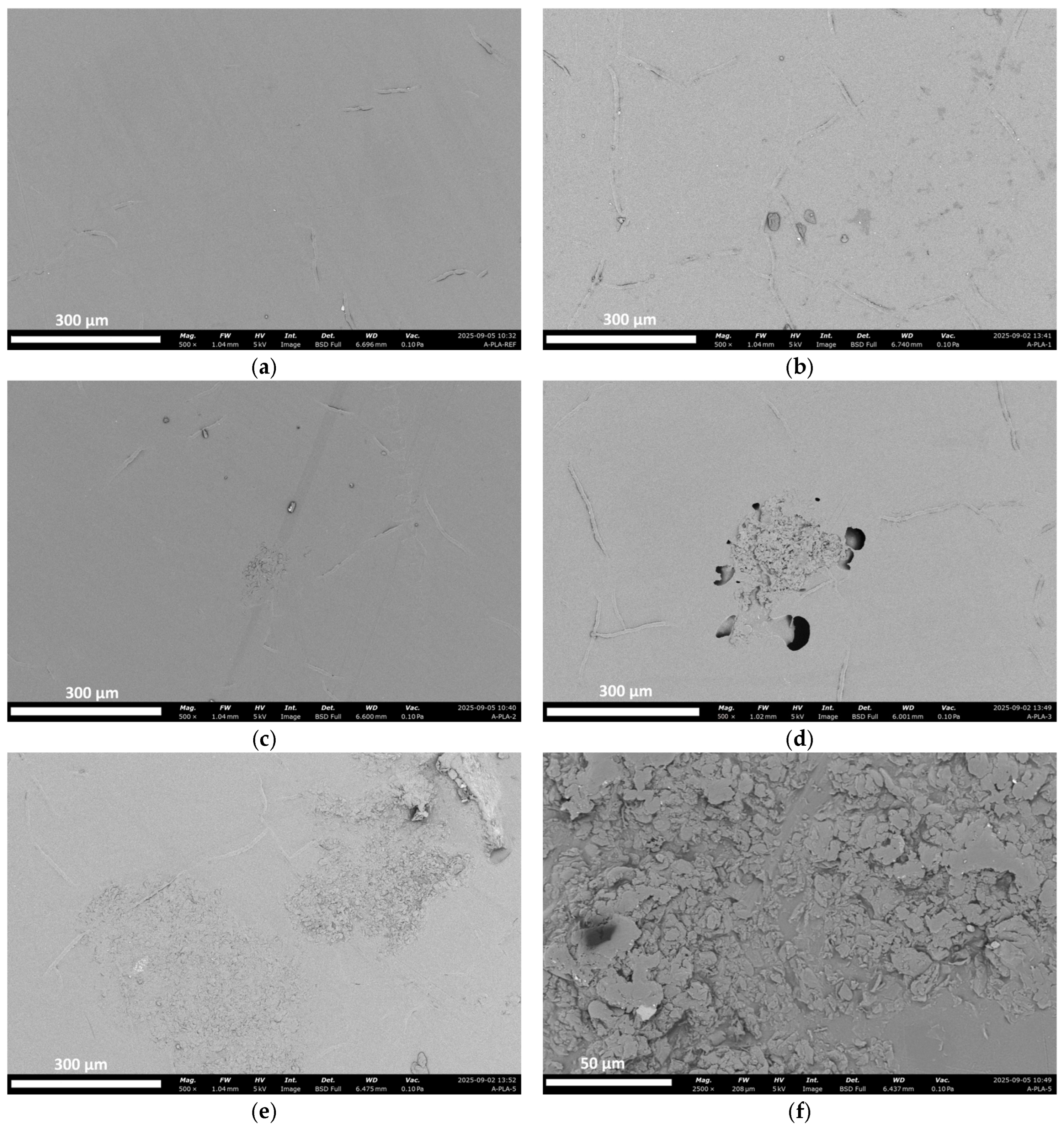 Polymers 18 00274 g009 Polymers 18 00274 g009