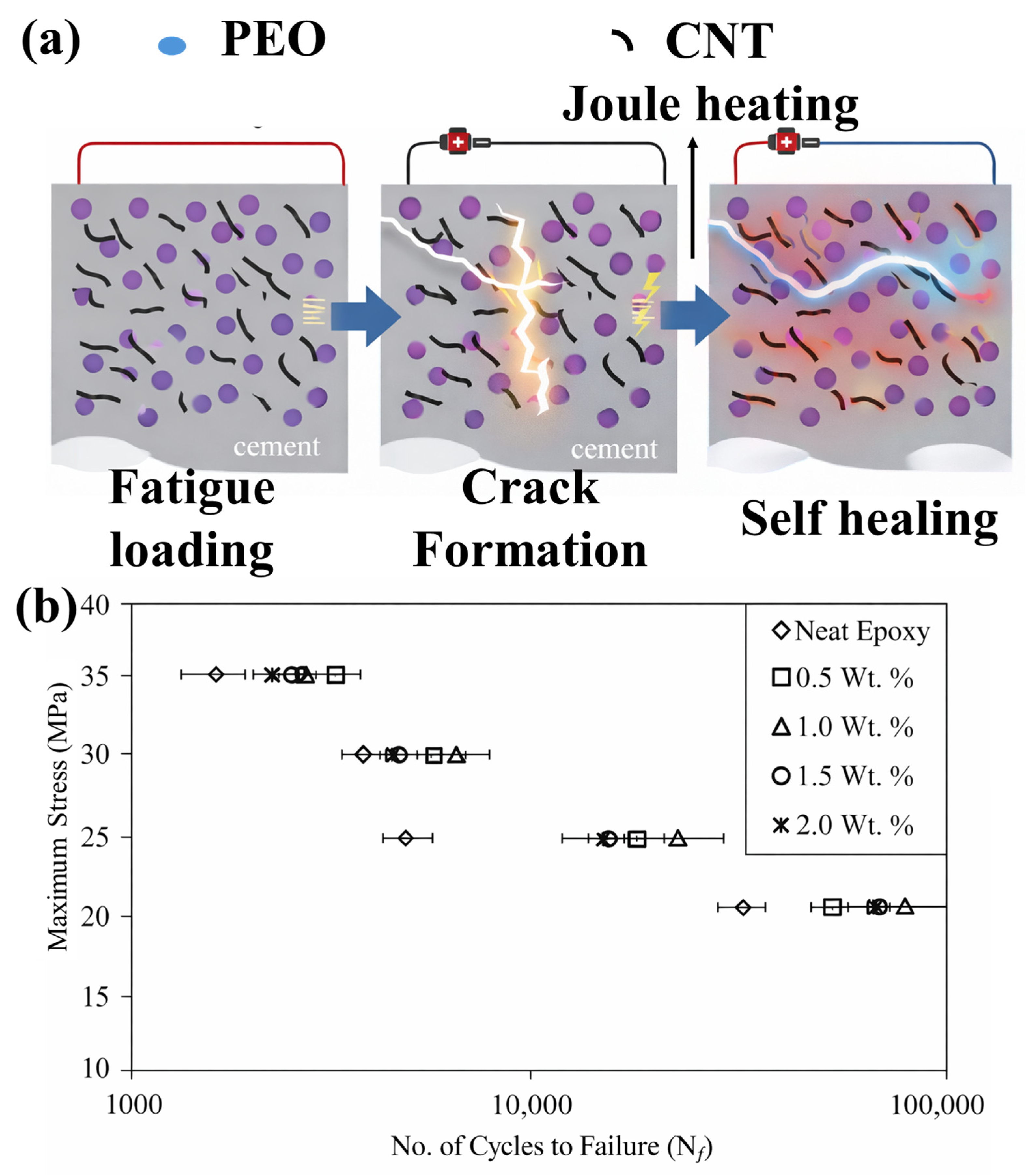 Polymers 18 00276 g006 Polymers 18 00276 g006
