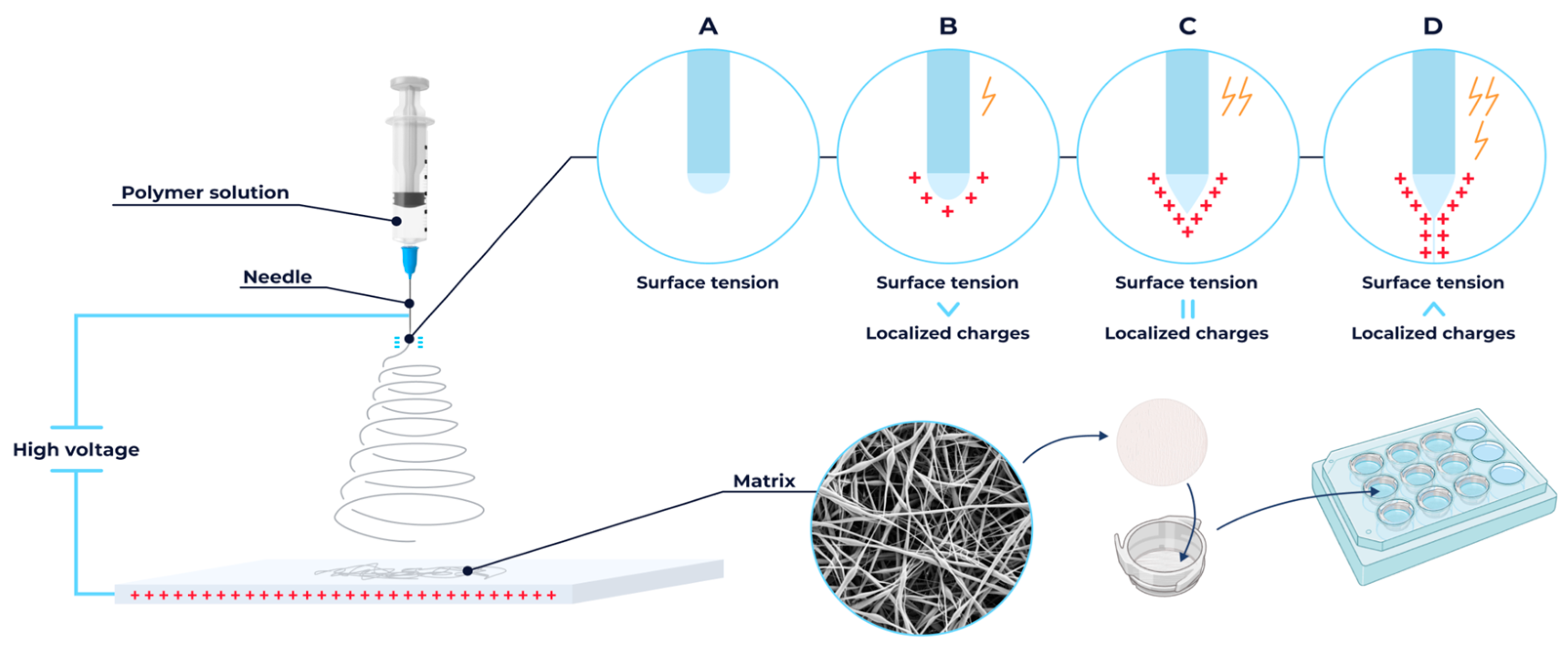 Polymers 18 00294 g001