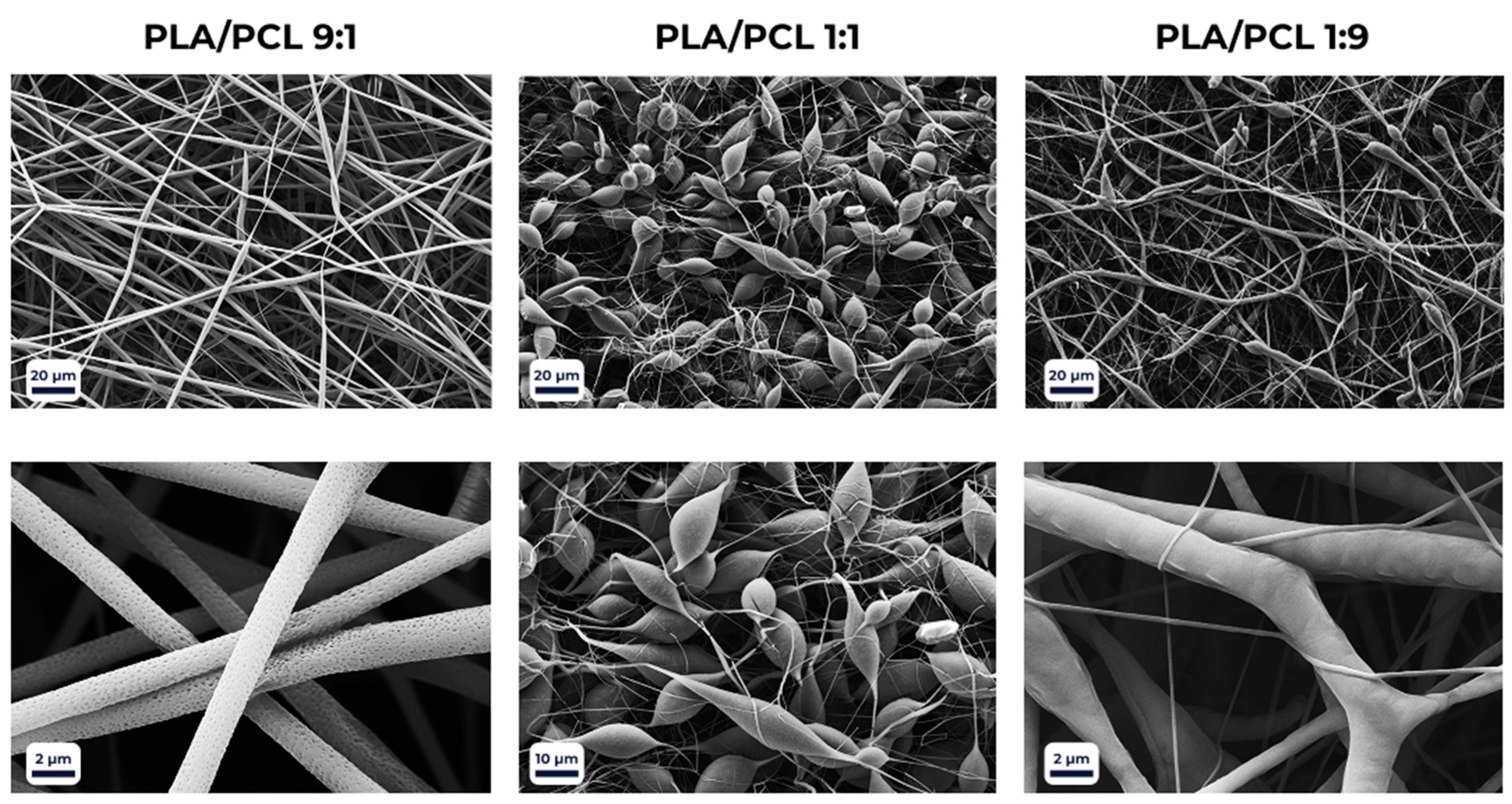 Polymers 18 00294 g003